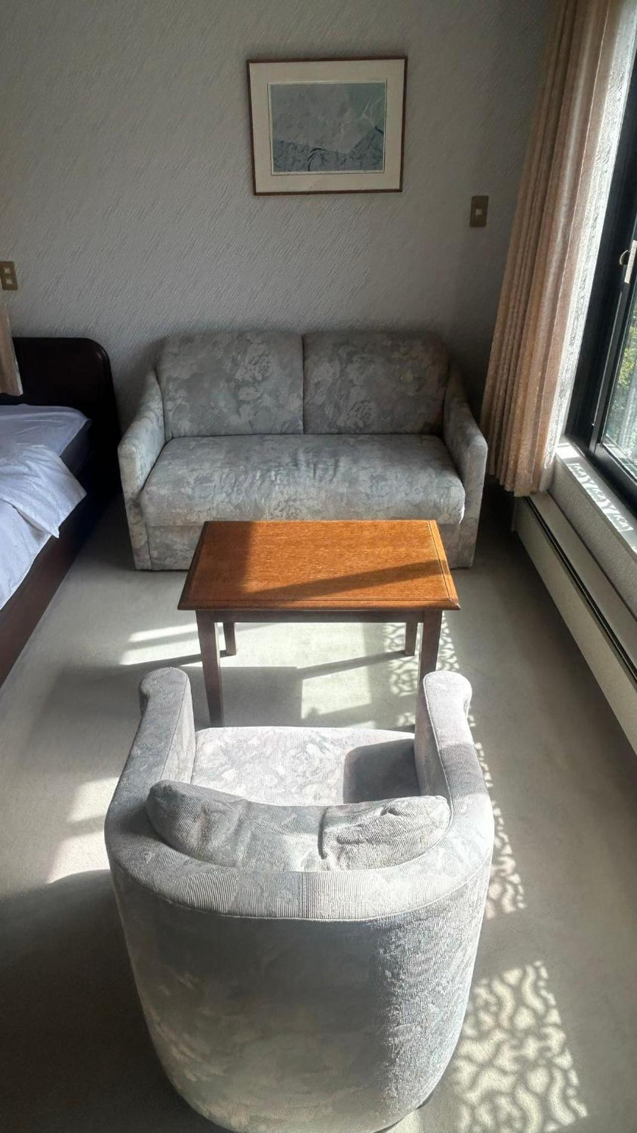 Hakone Fairy Hotel view 3