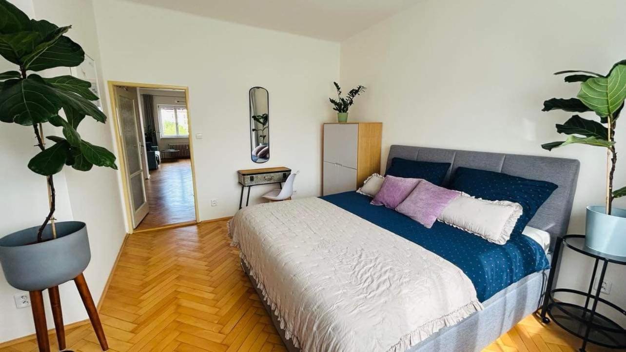 Park View Apartment Anděl