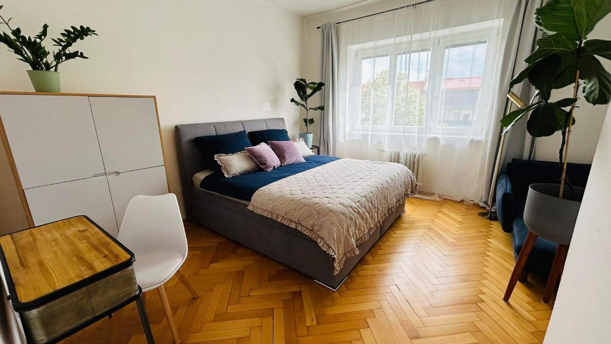 Park View Apartment Anděl