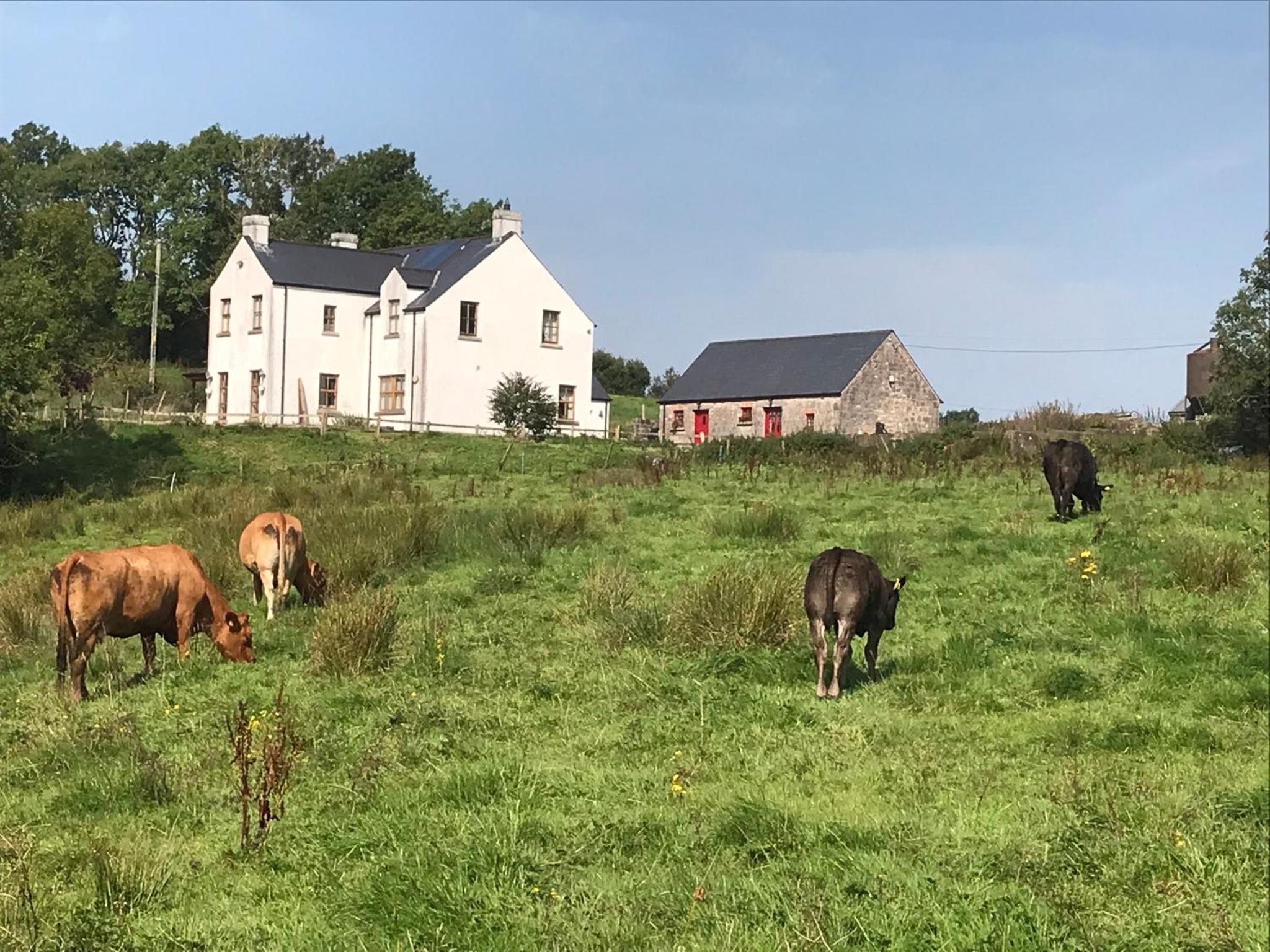 Minnie’s Cottage view 2