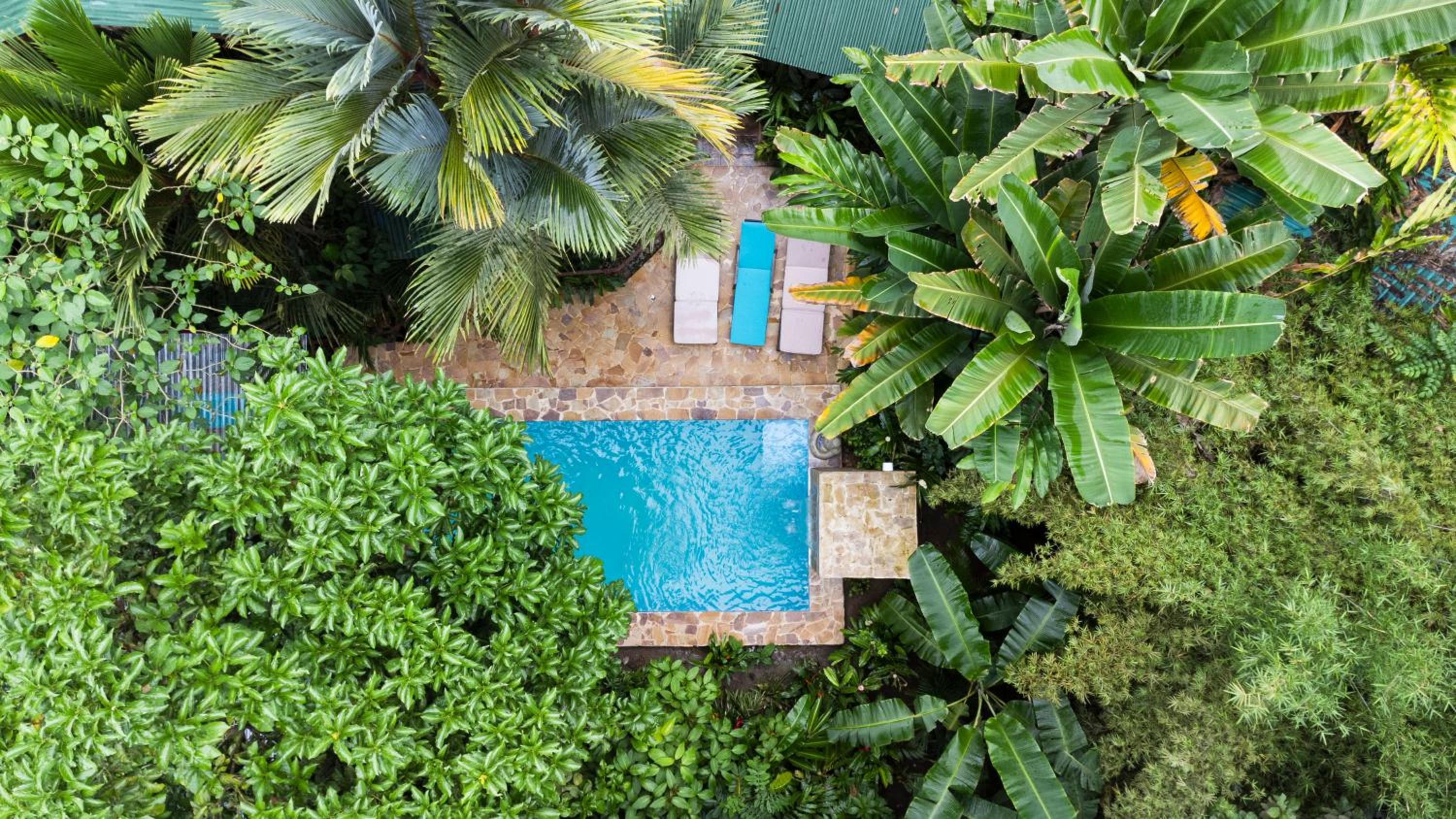 Villa Elita Cocles Jacuzzi&Pool