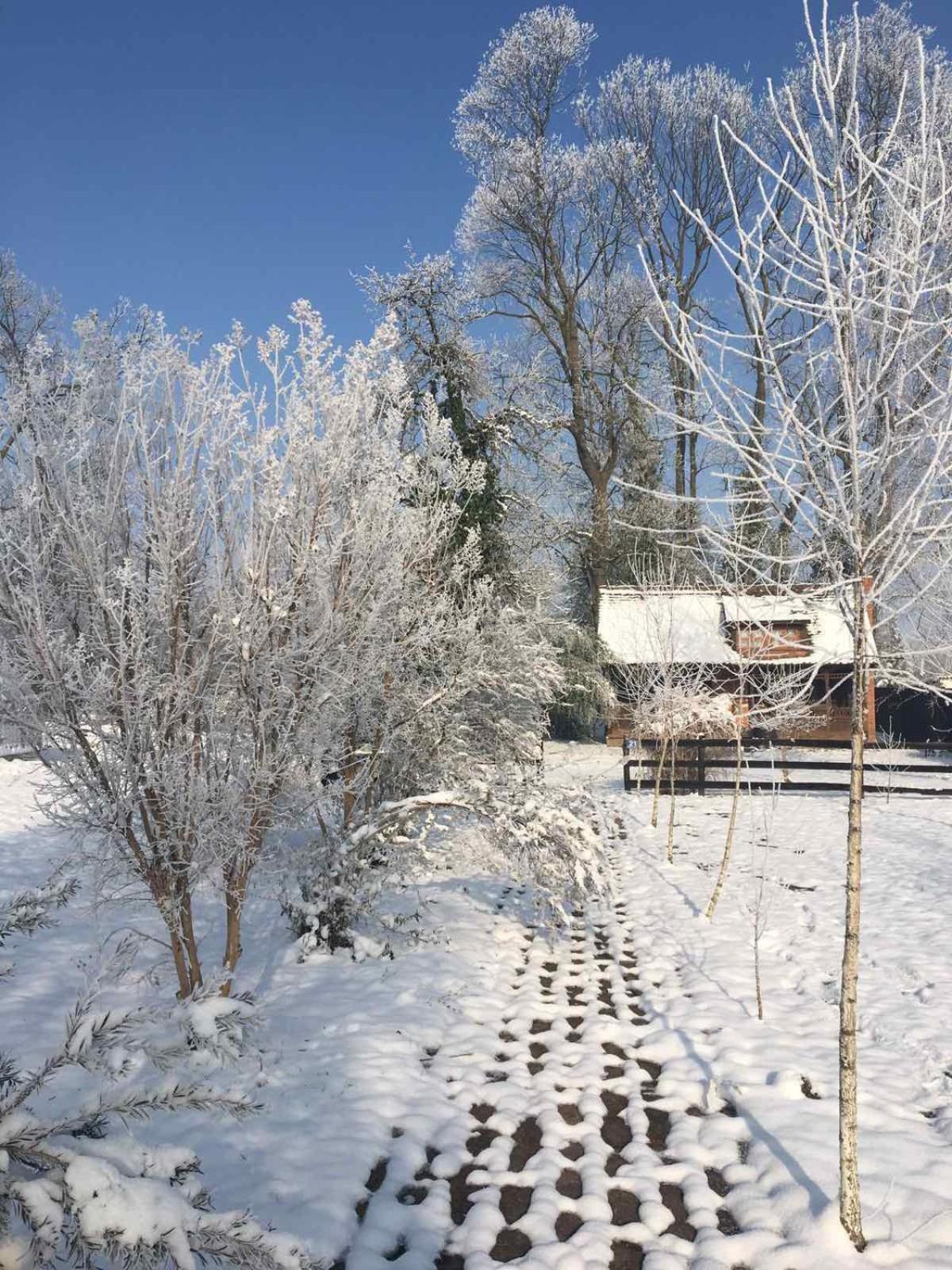 Koliba Brezova šuma