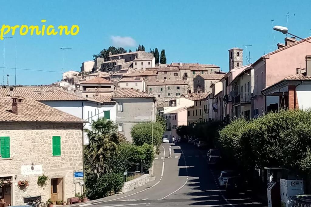 Terrazza Catabbio