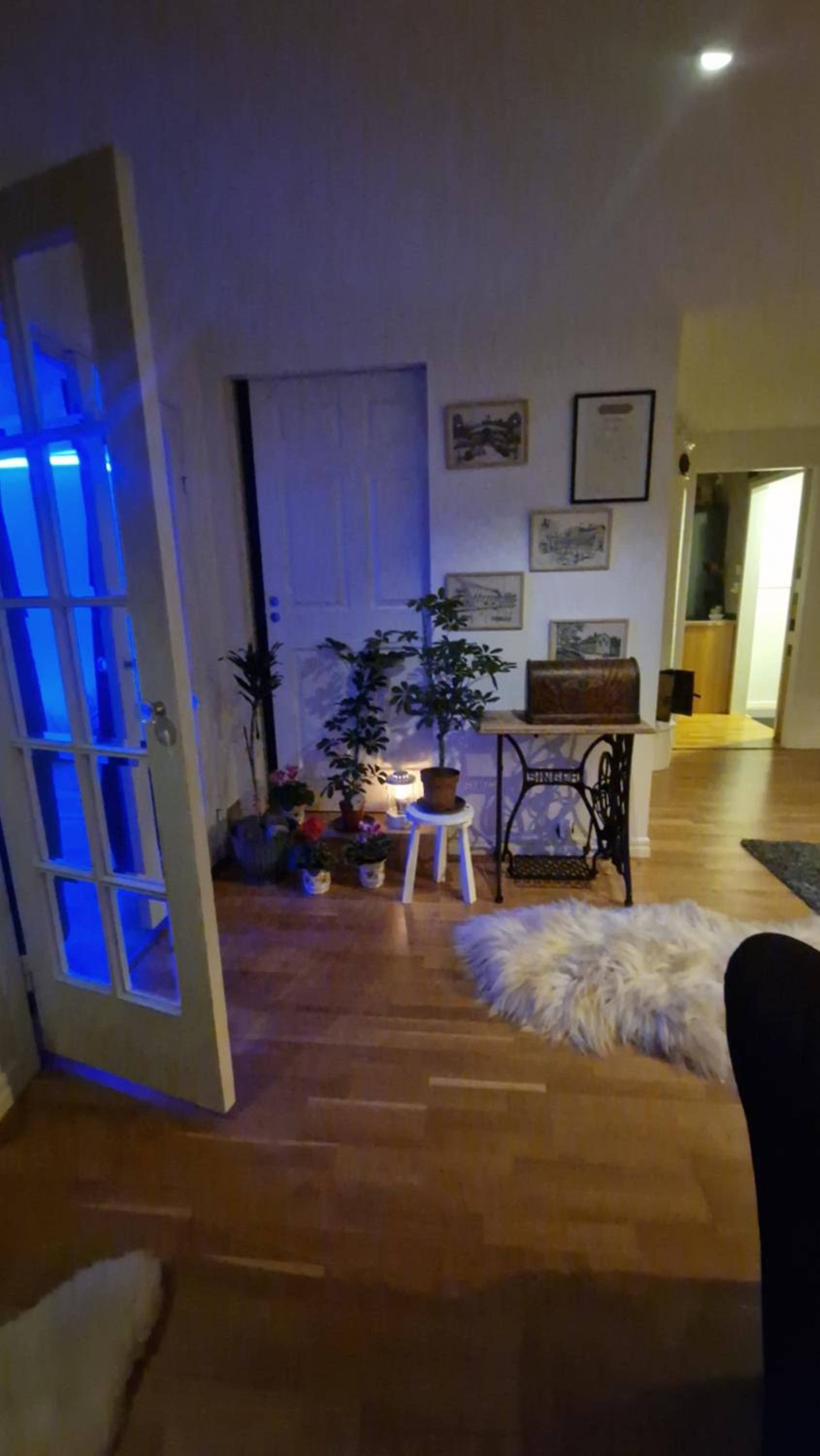 Photo 22