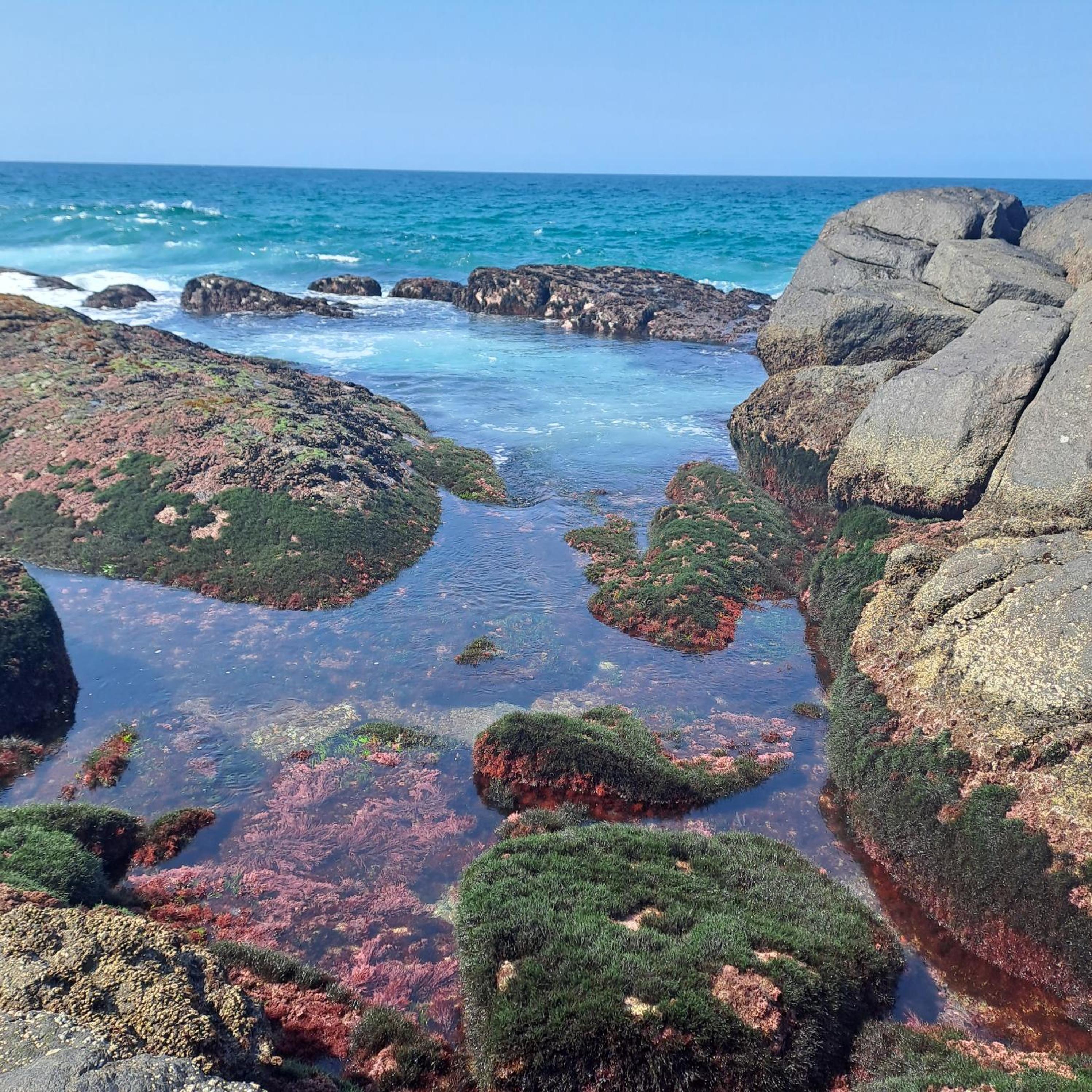 10 Seaverge, photo 16