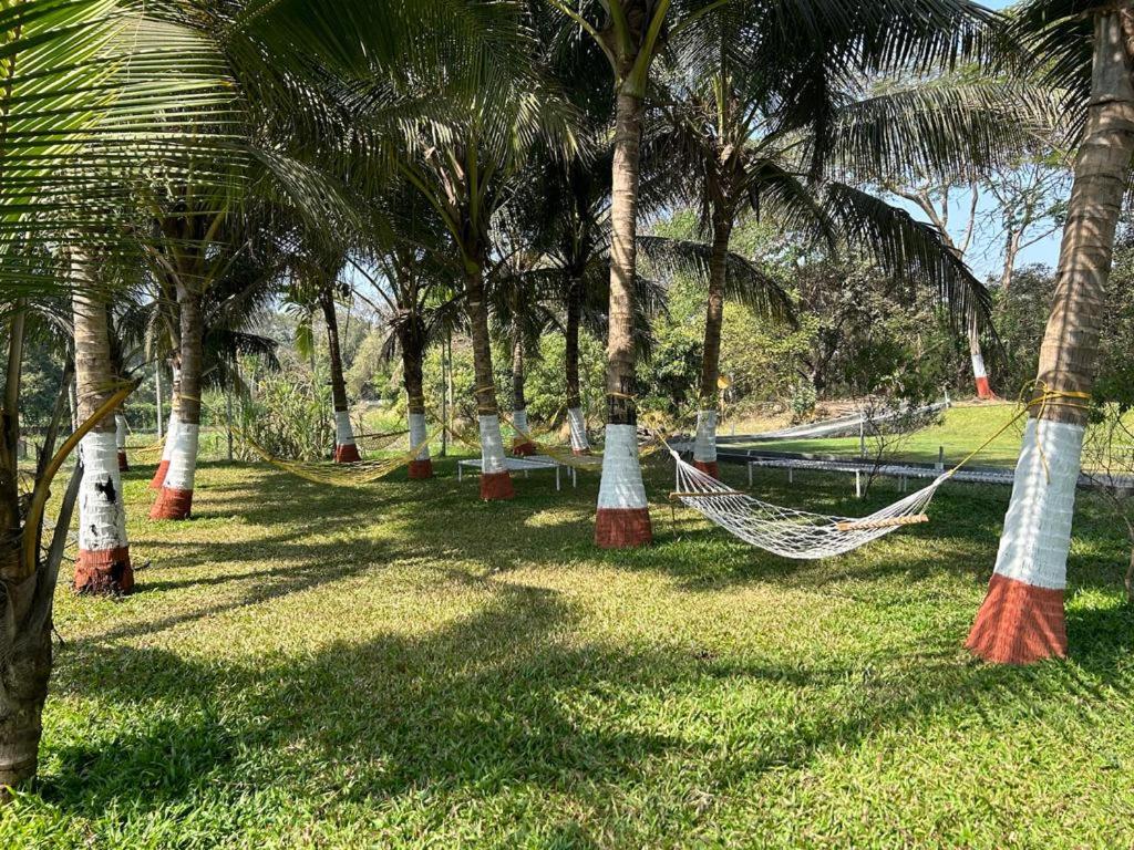 Dome Meadows Retreat