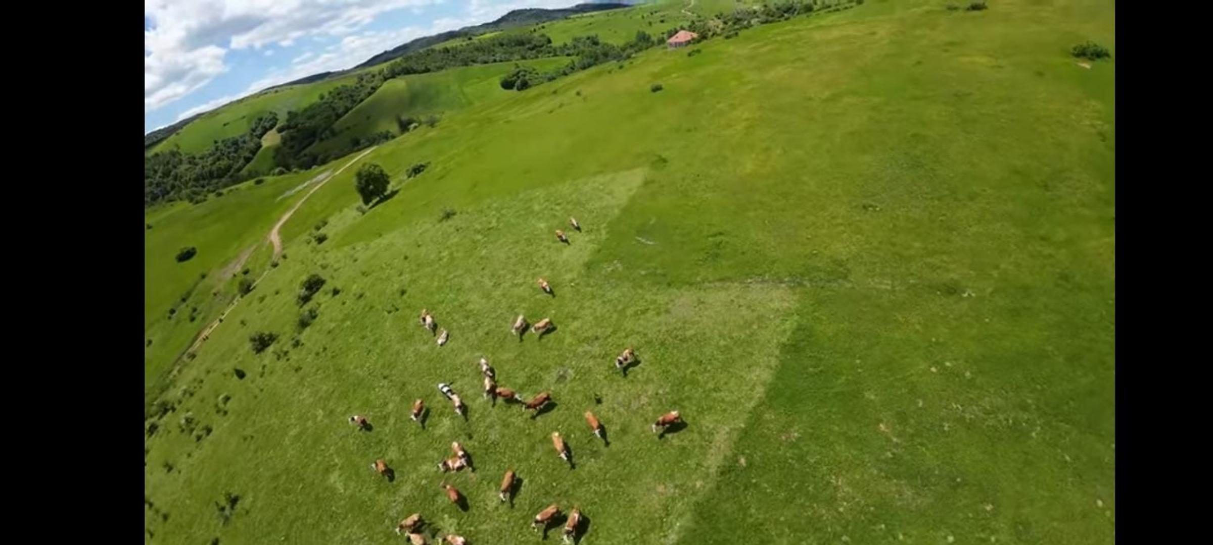 Brvnare Kušići
