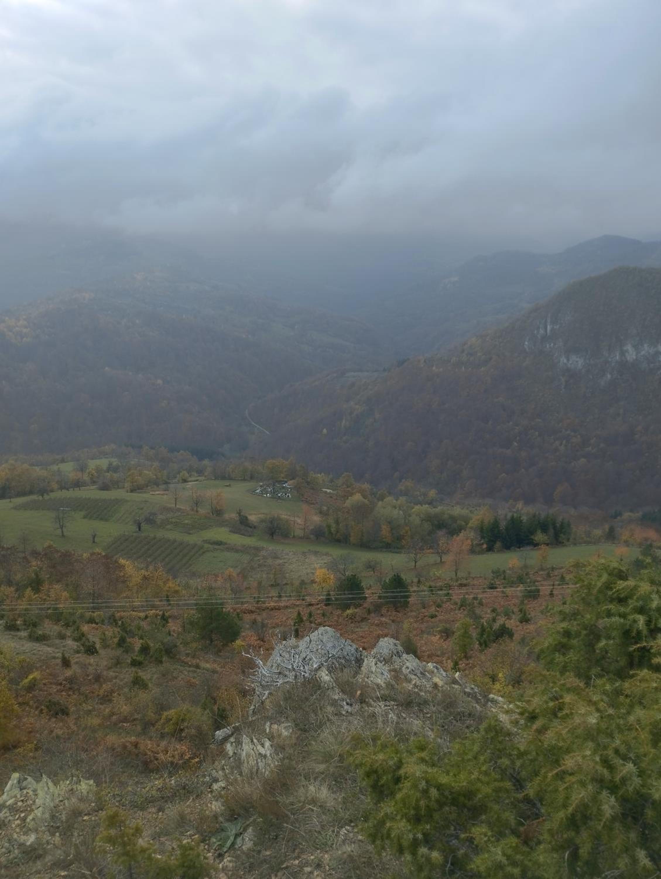 Brvnare Kušići