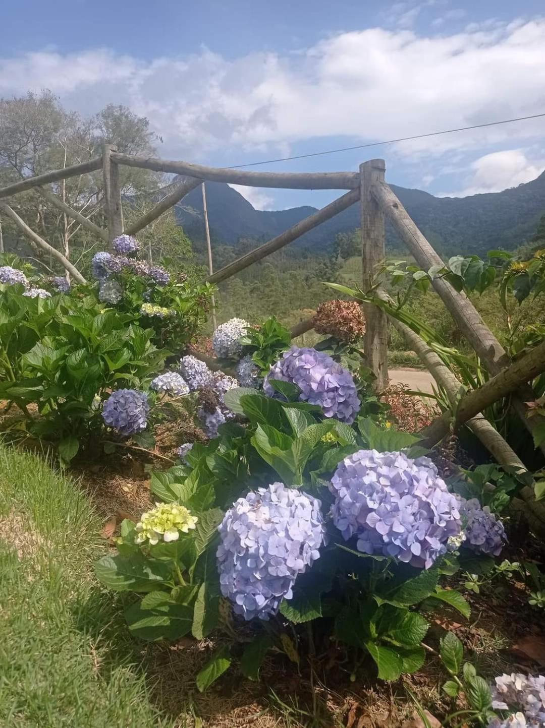 Chalés Flor do Caparaó em Patrimonio da Penha view 3