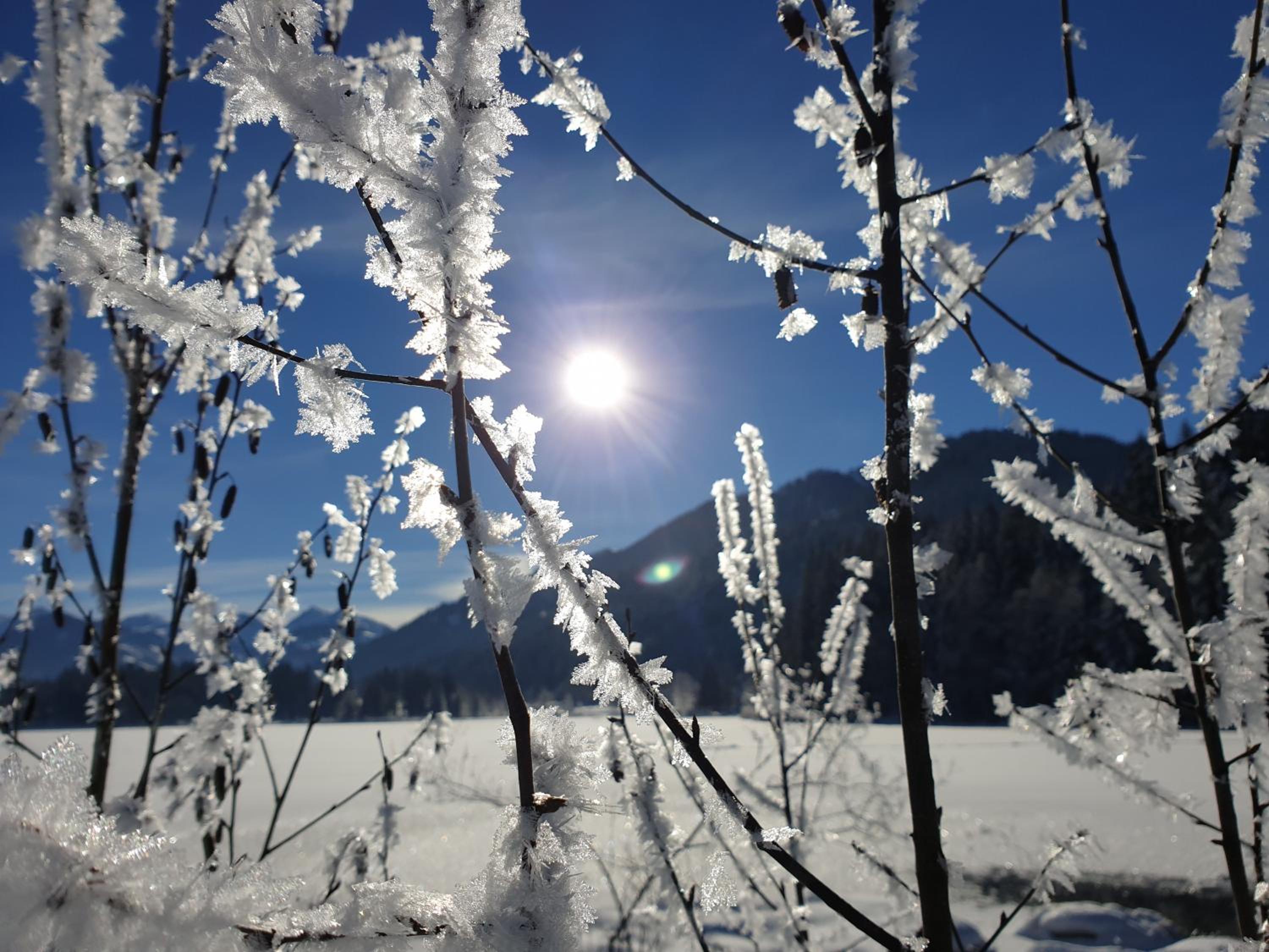 Griesbachhof-Wilder Kaiser
