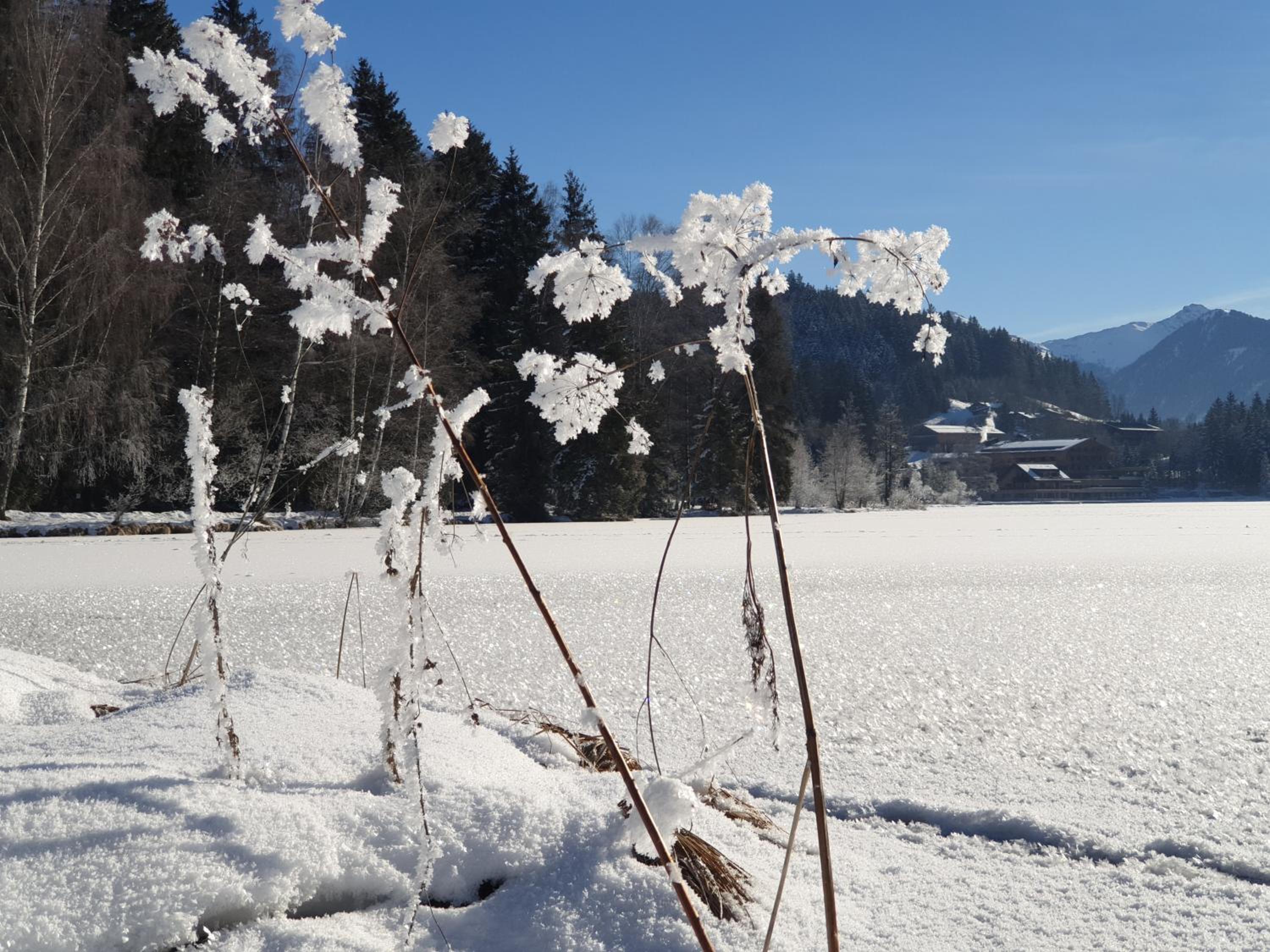 Griesbachhof-Wilder Kaiser