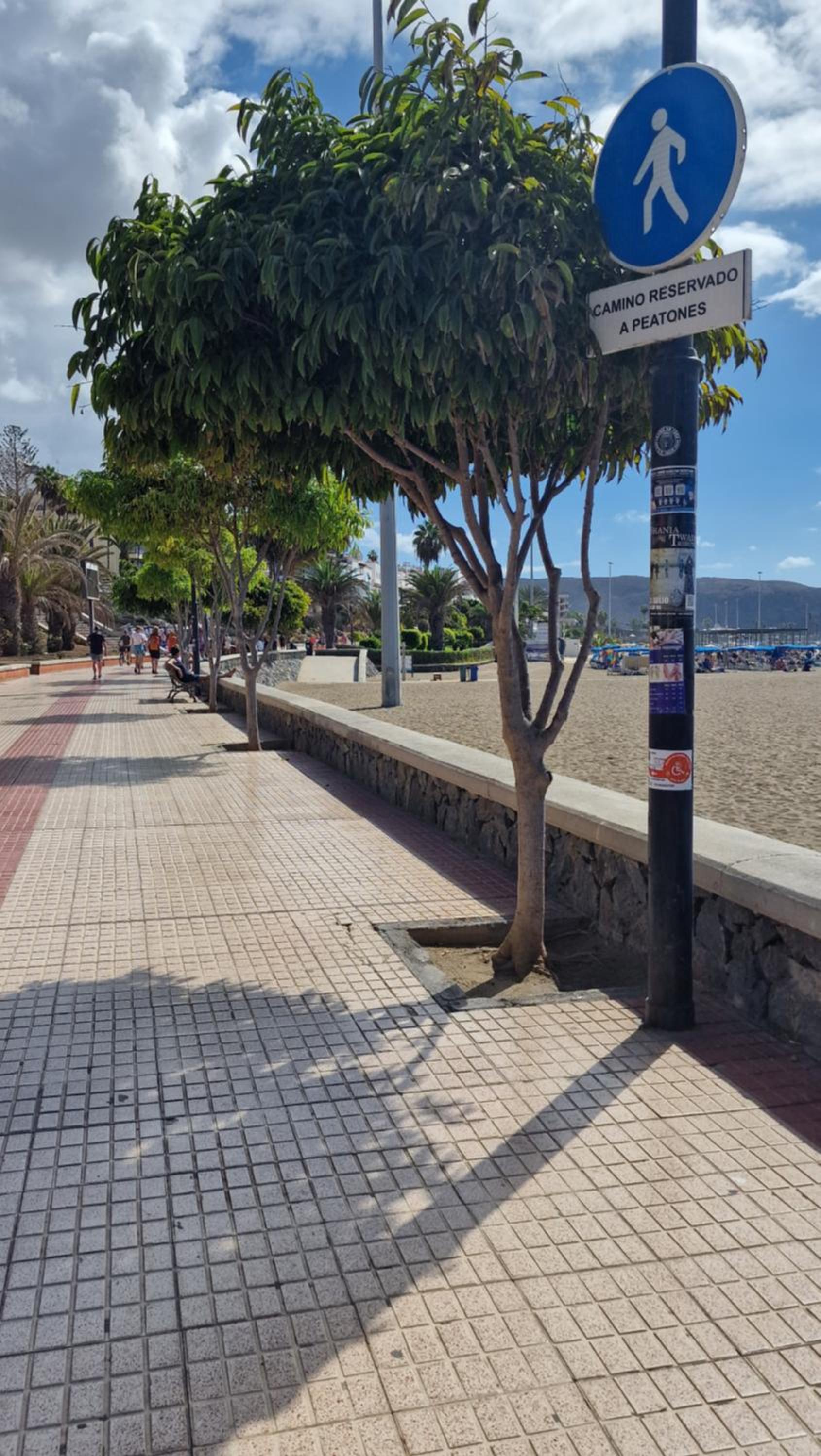 Dúplex Penthouse Los Cristianos Beach