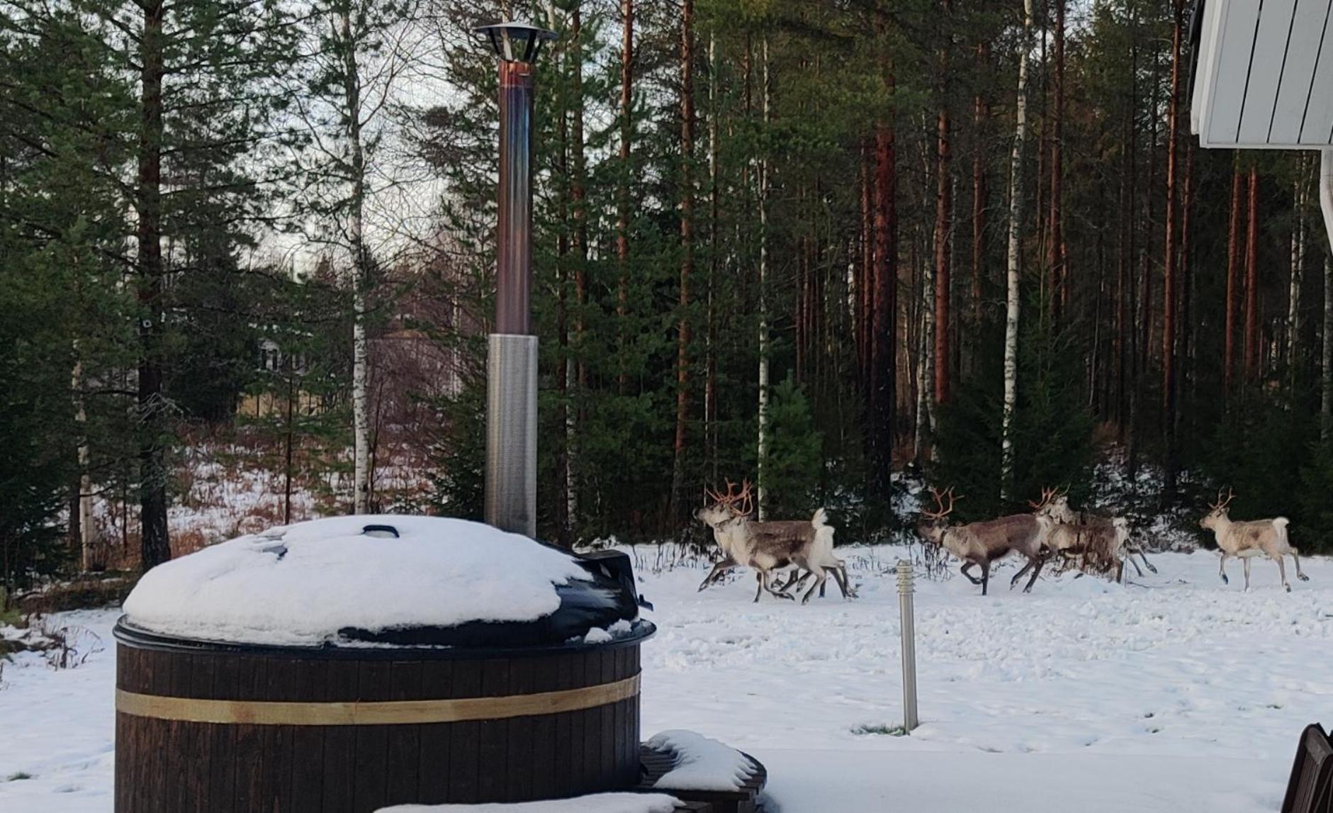 Aurora's house Rovaniemi