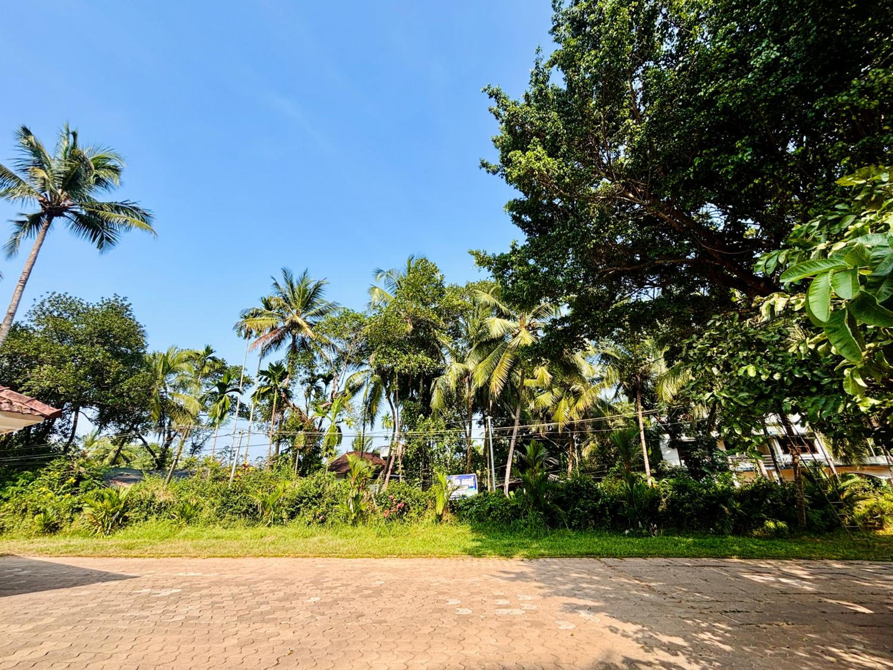 AGP Homestay view 2