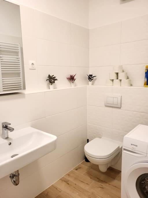 Blue River Apartment with Sauna&Gym and Parking