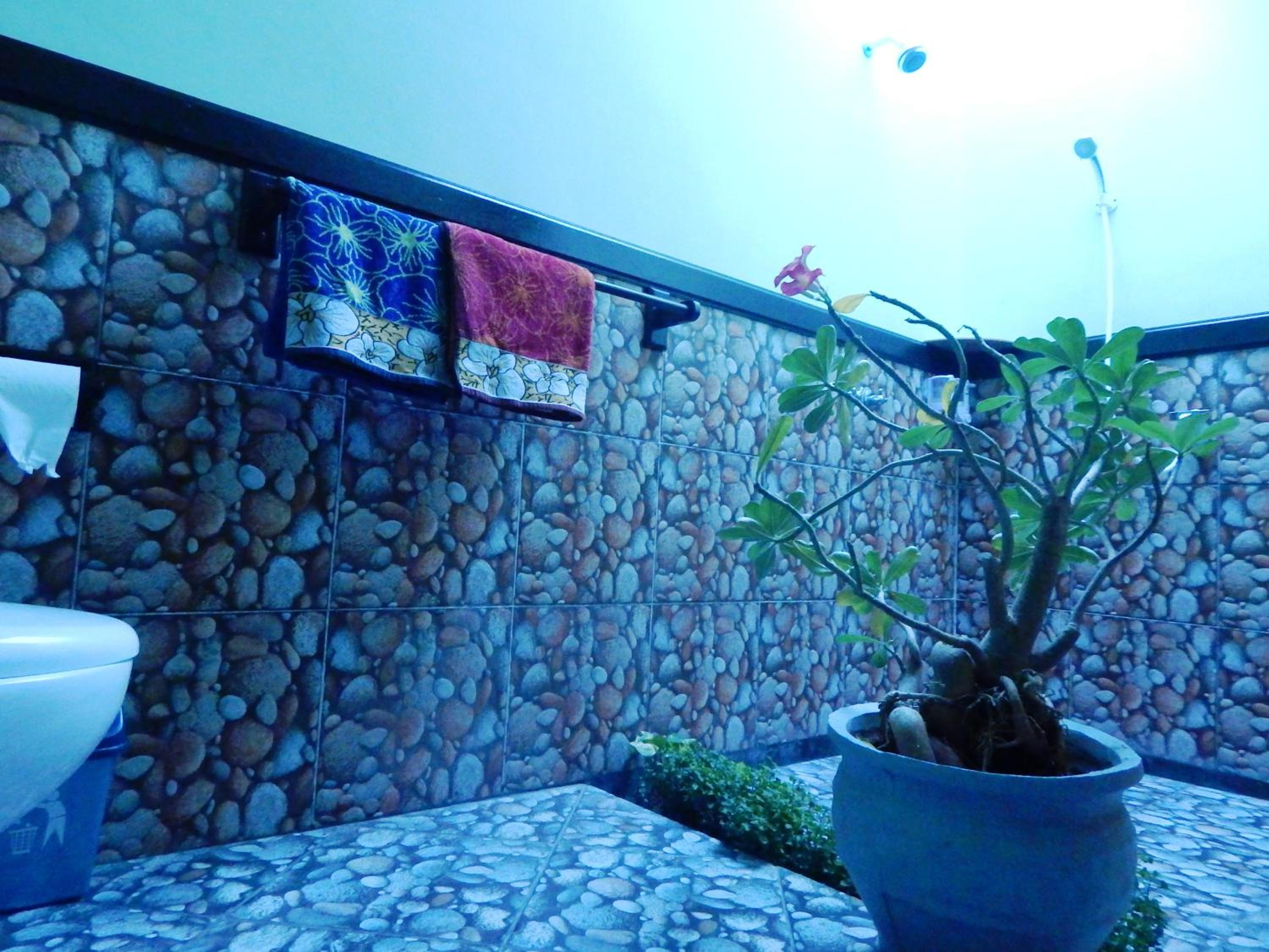 Photo 50