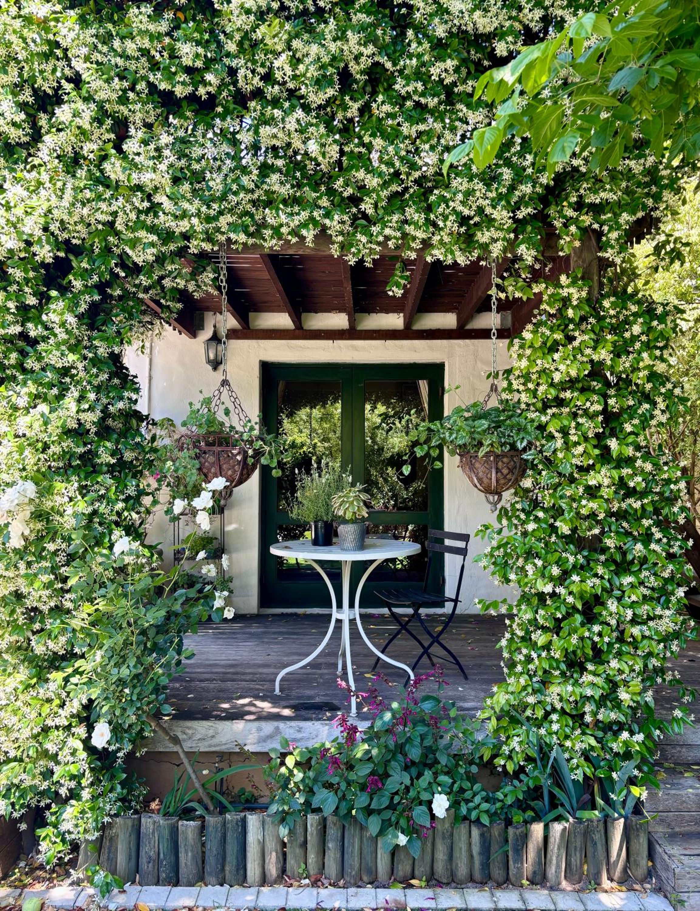 Garden oasis in the village view 3