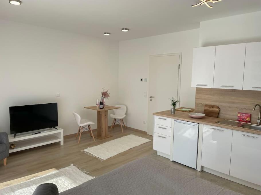 Bright Riverside Studio, Balcony, Free Parking, Air Conditioning
