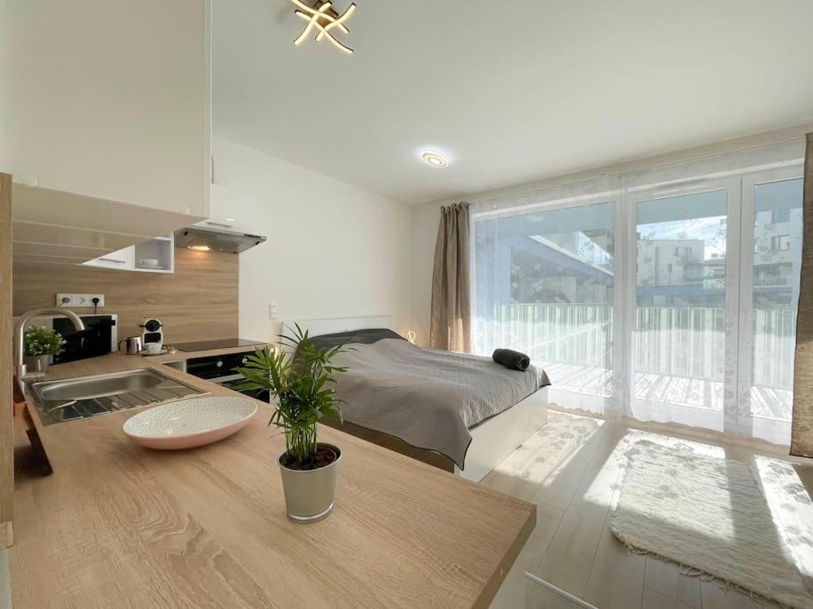 Bright Riverside Studio, Balcony, Free Parking, Air Conditioning