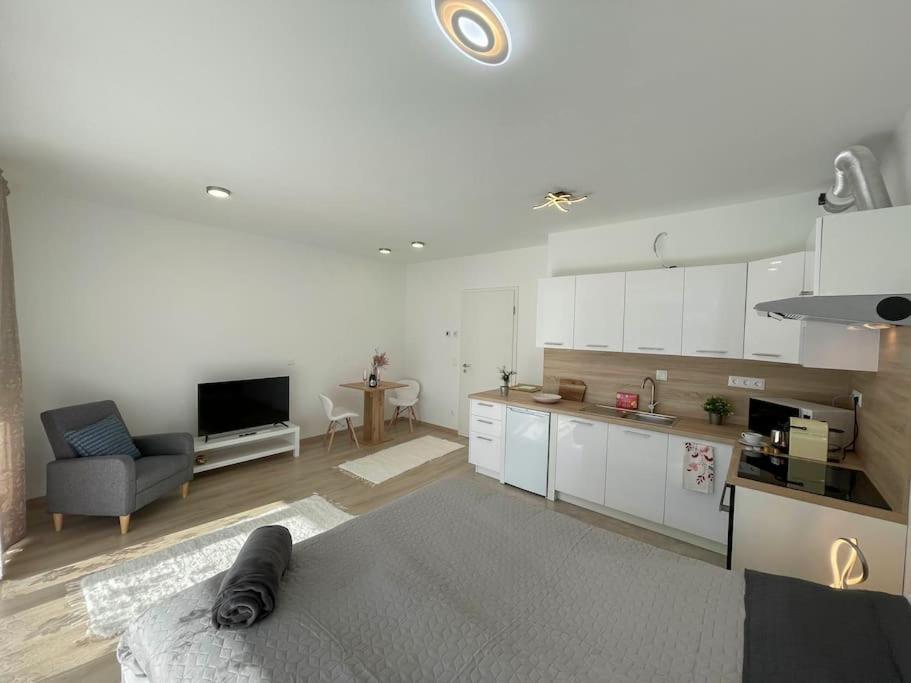 Bright Riverside Studio, Balcony, Free Parking, Air Conditioning