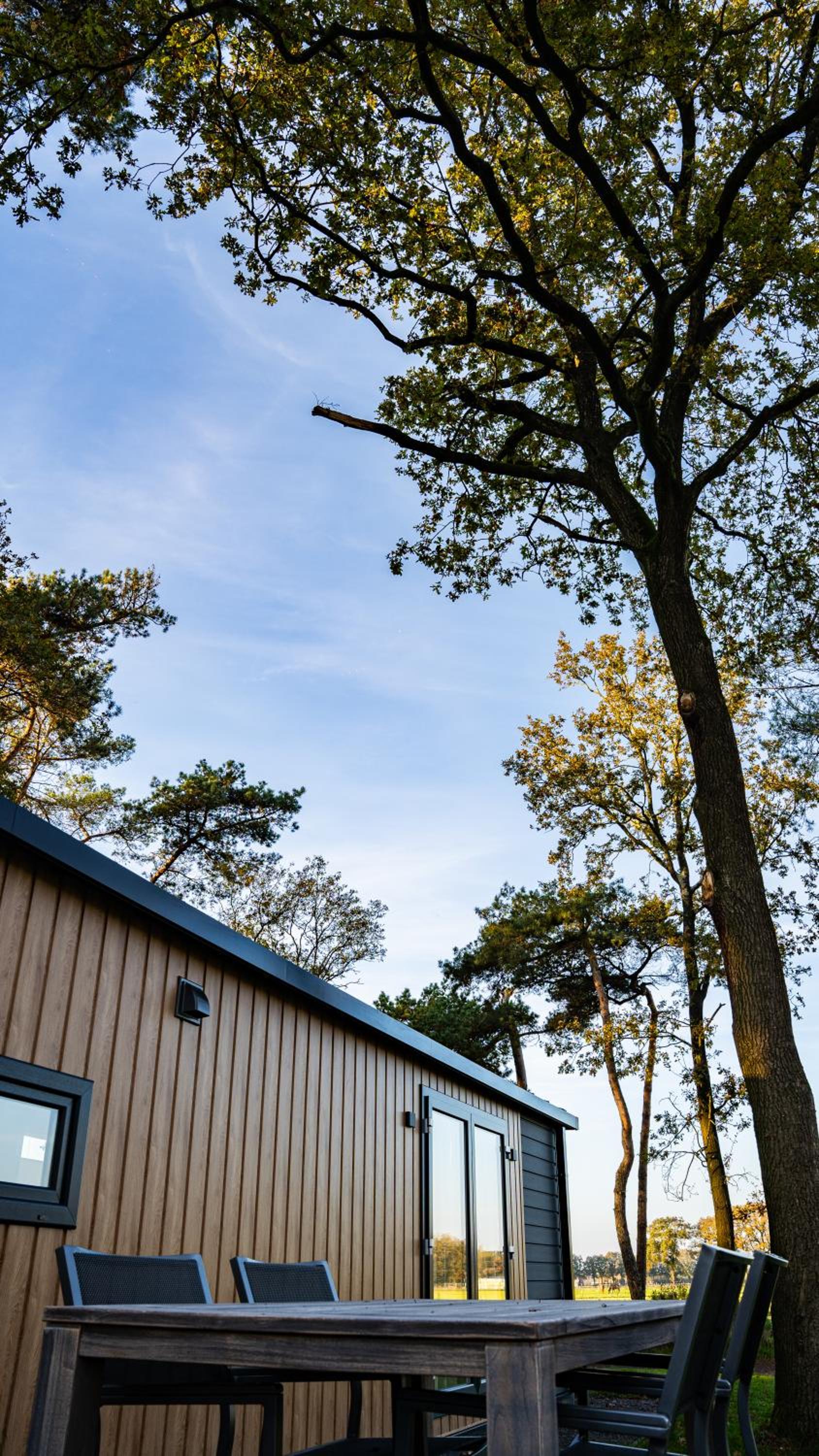 Wellnesshuisje in de Sallandse Heuvelrug