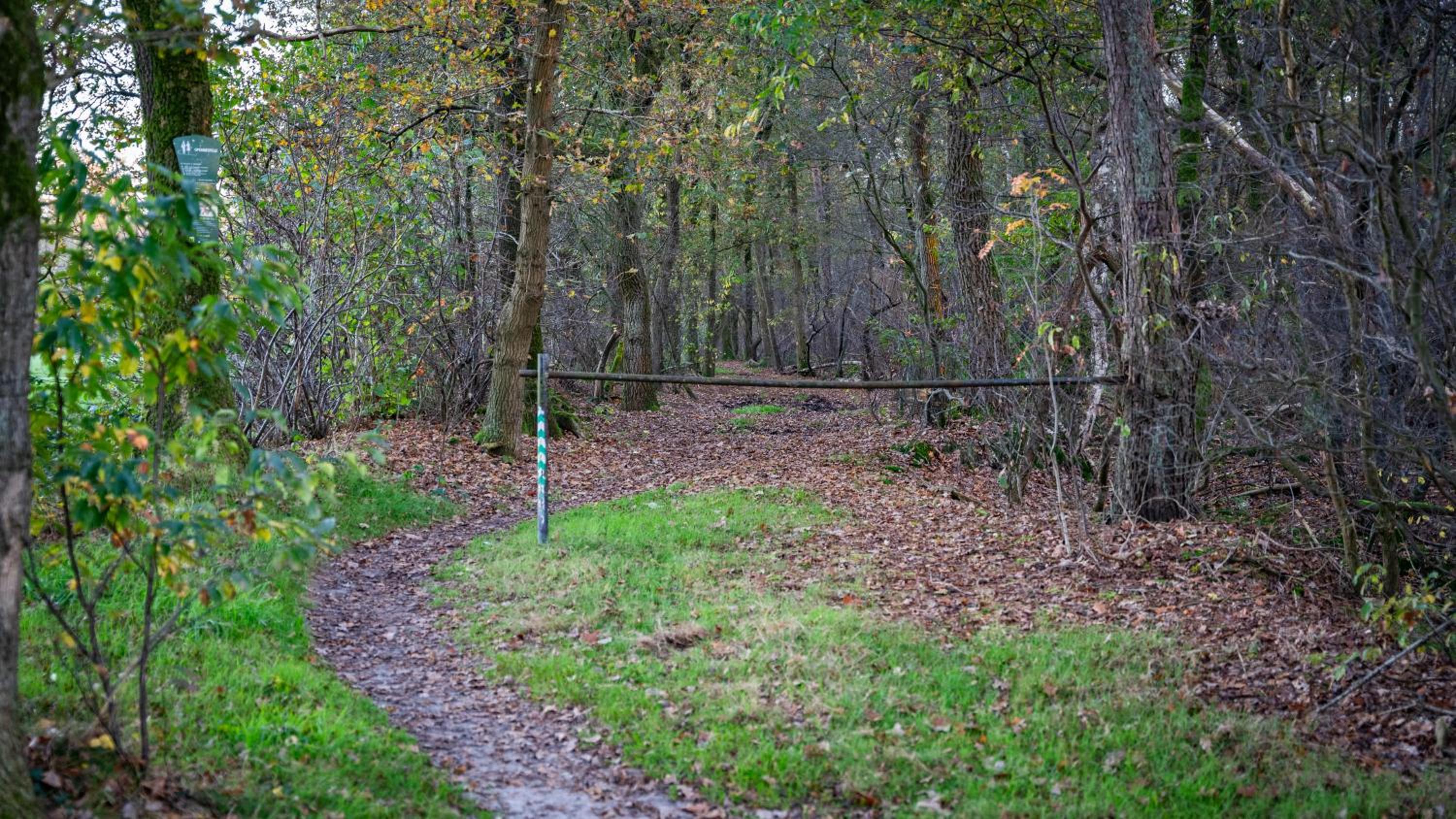 Wellnesshuisje in de Sallandse Heuvelrug