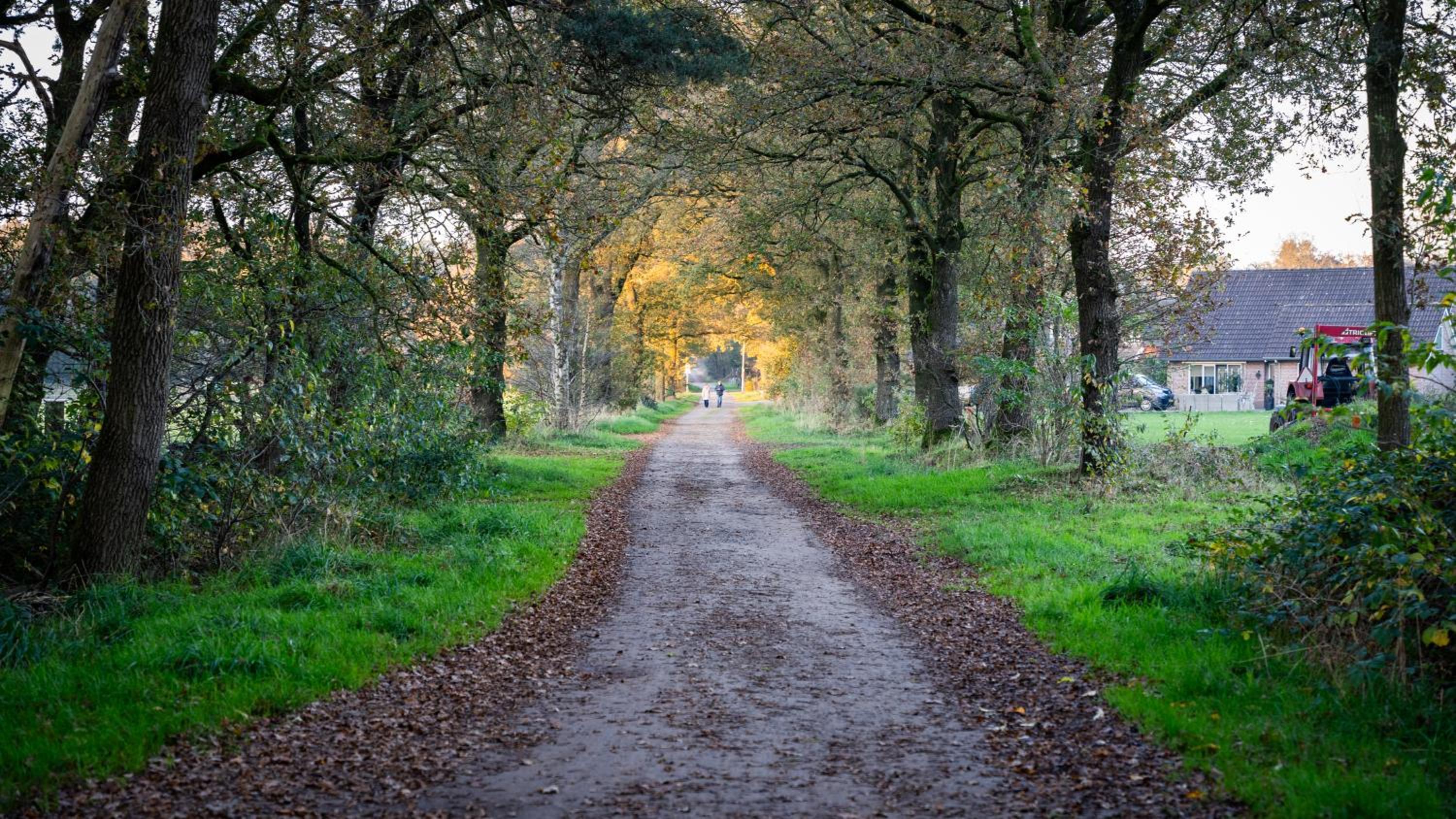 Wellnesshuisje in de Sallandse Heuvelrug