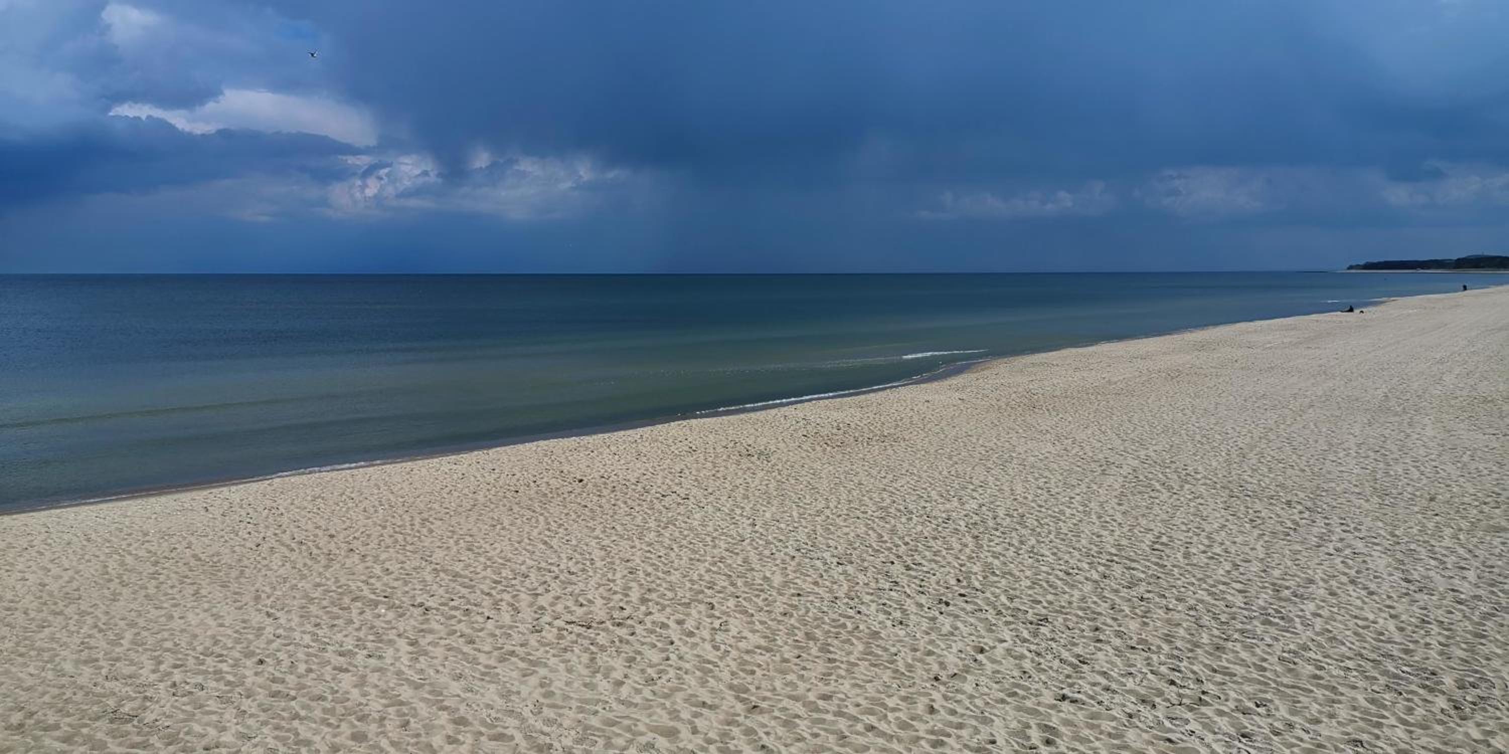 Traum