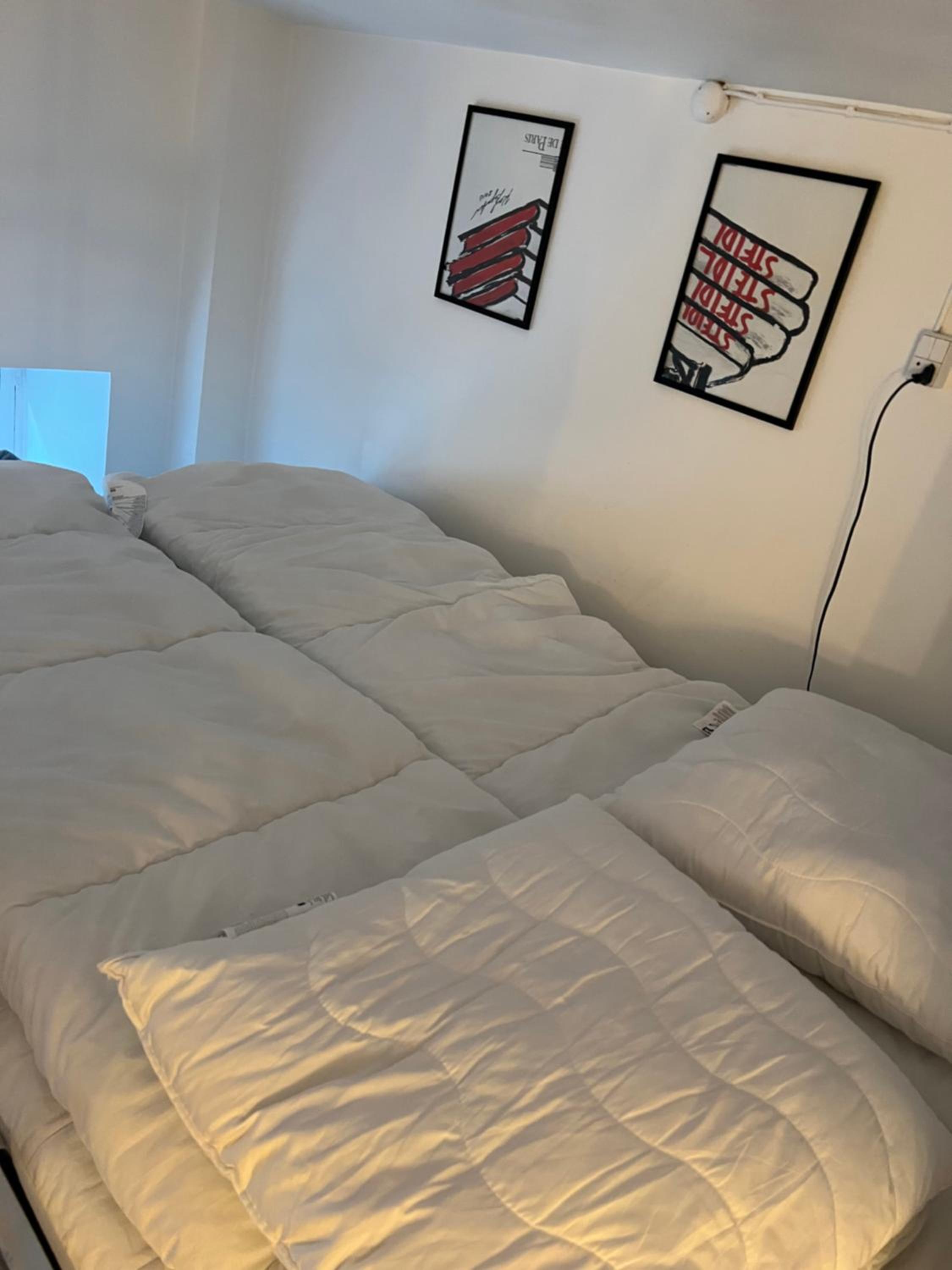 Spacious apartment in central Copenhagen