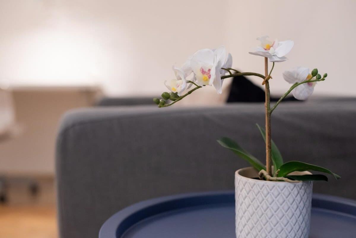 Comfortable Central and Quiet apartment