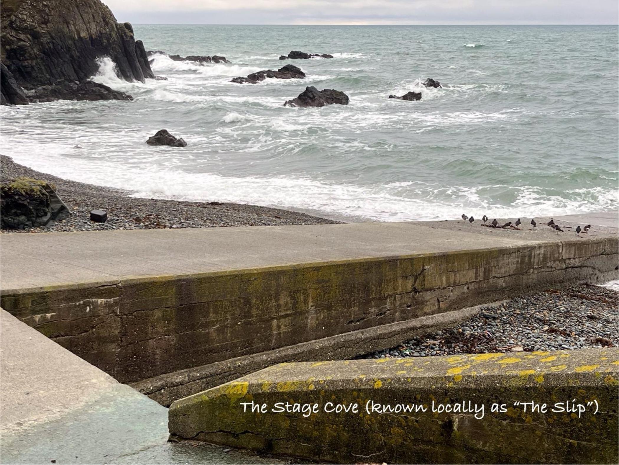 Copper Coast Glamping Pods - An Faoileán Pod view 5