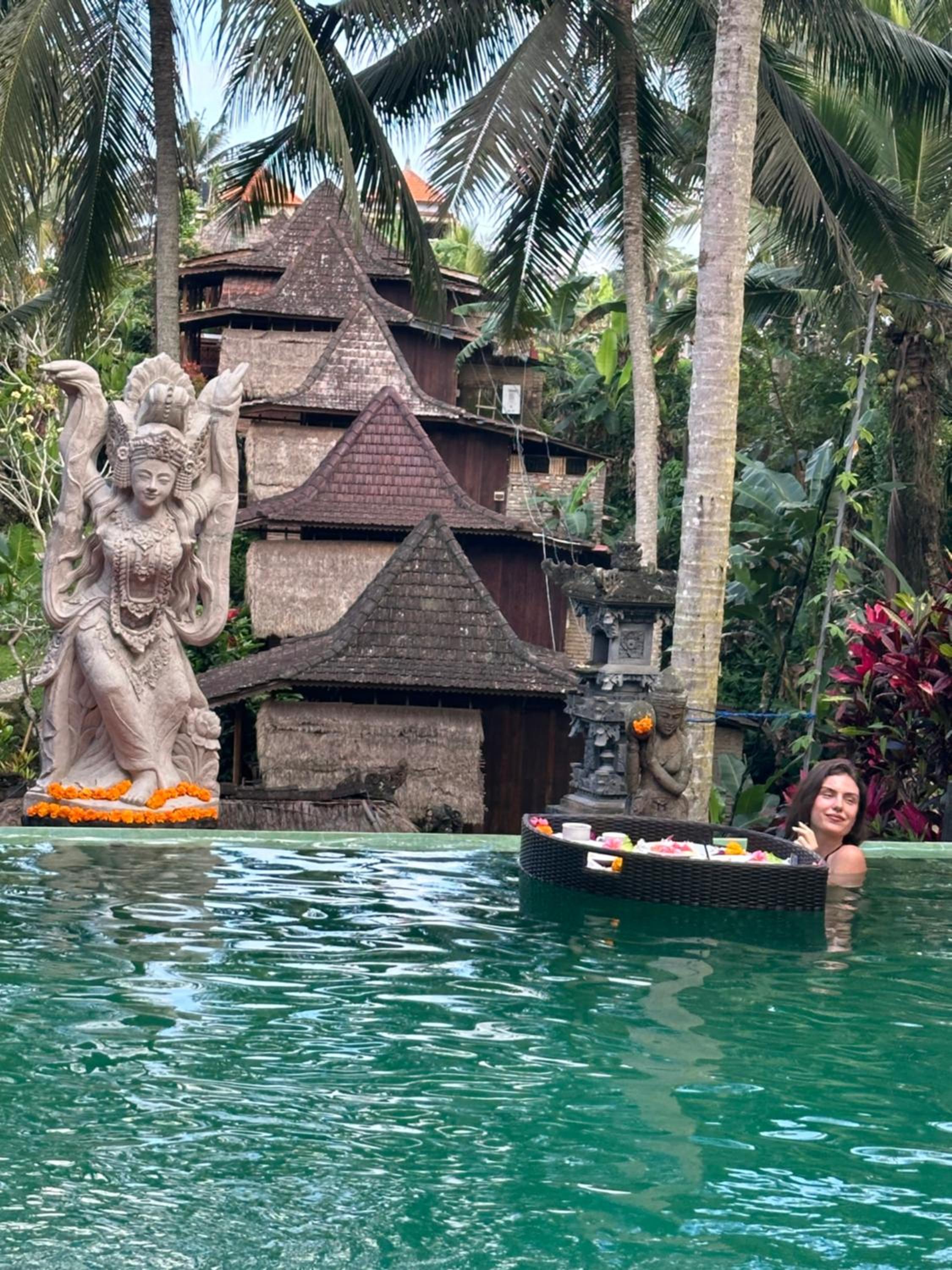 Wooden House and Spa Ubud view 2