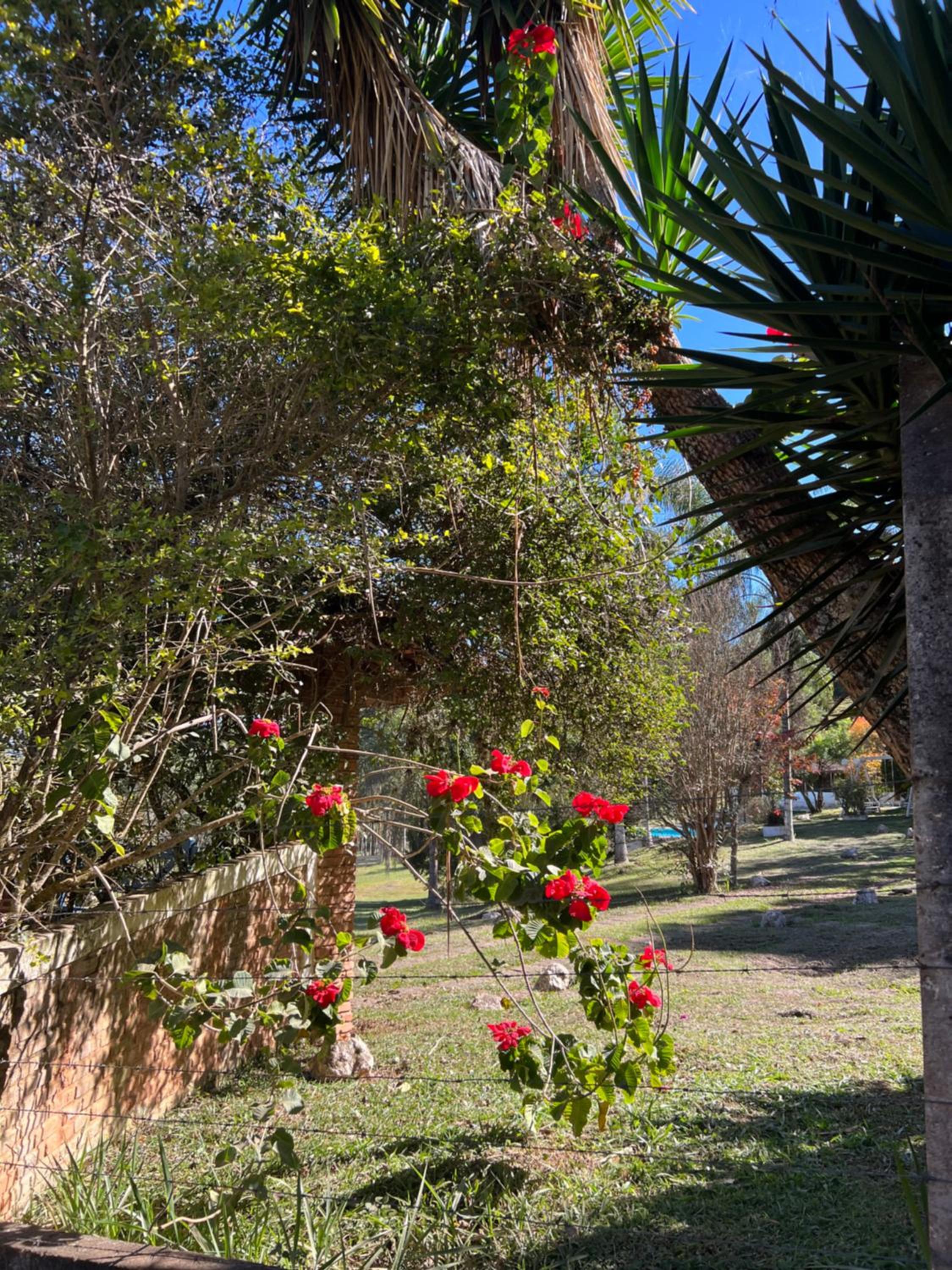 Paraíso nas Montanhas