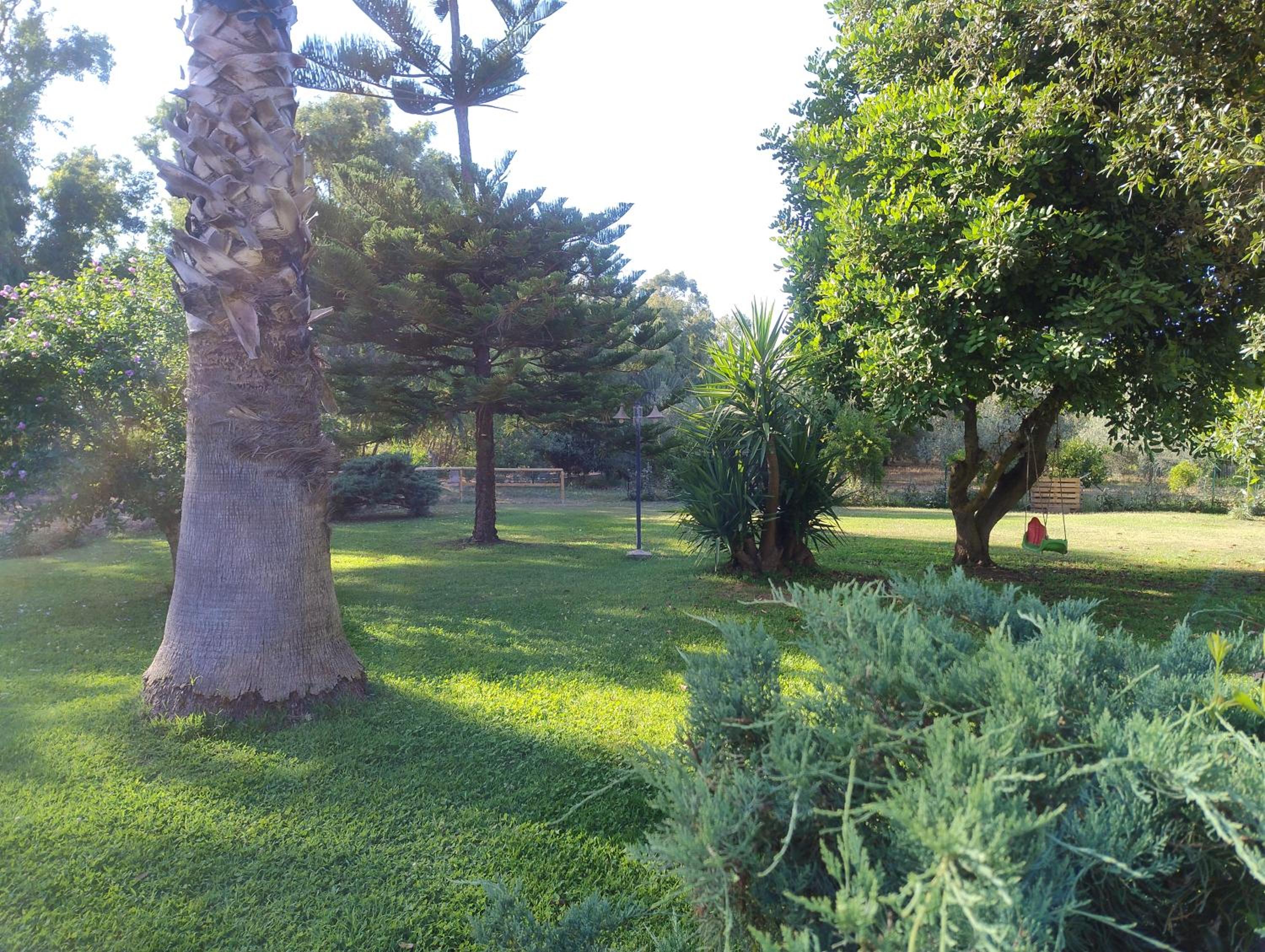 Photo 33