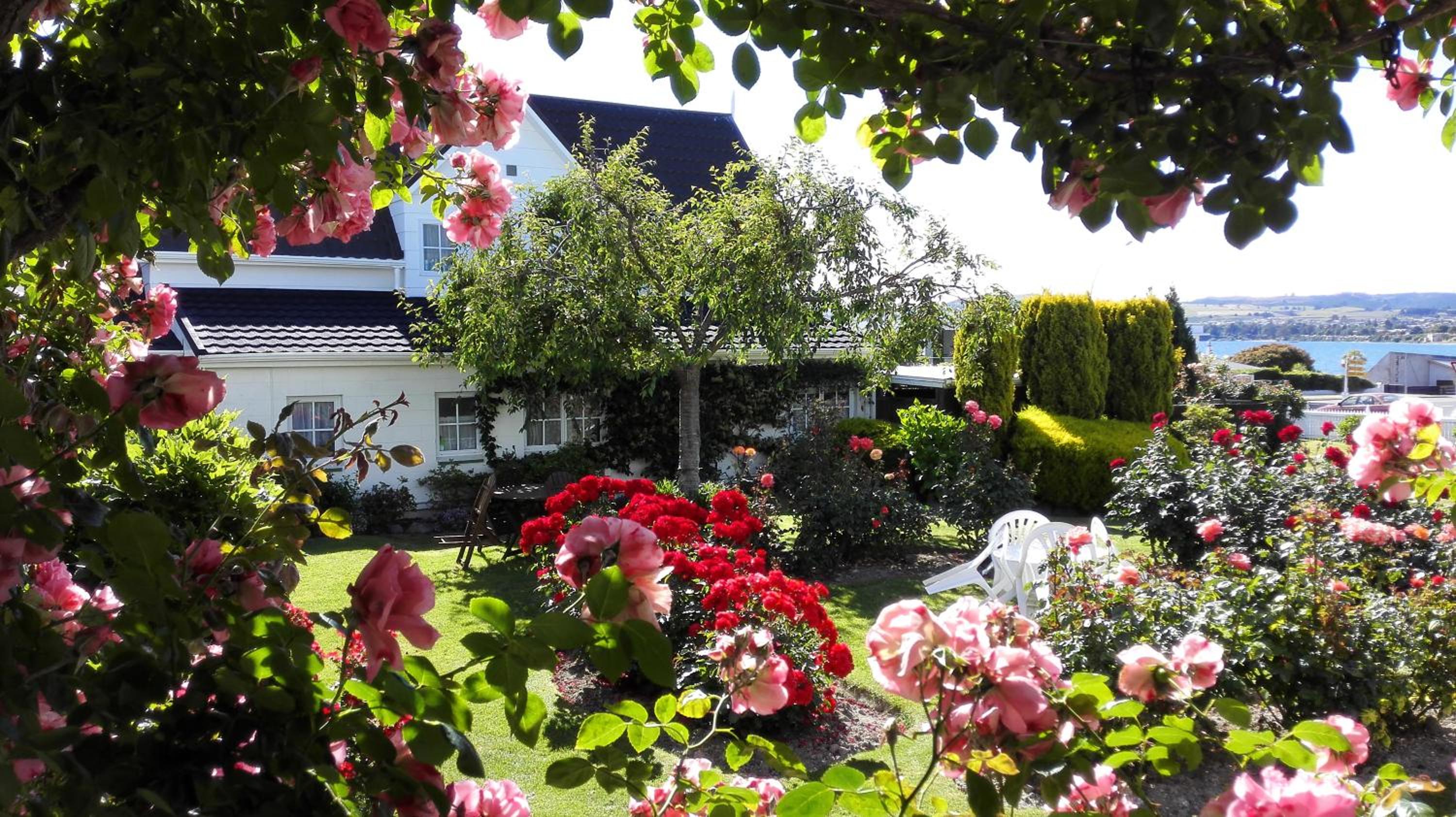 Phoenix Thermal Resort - Taupo