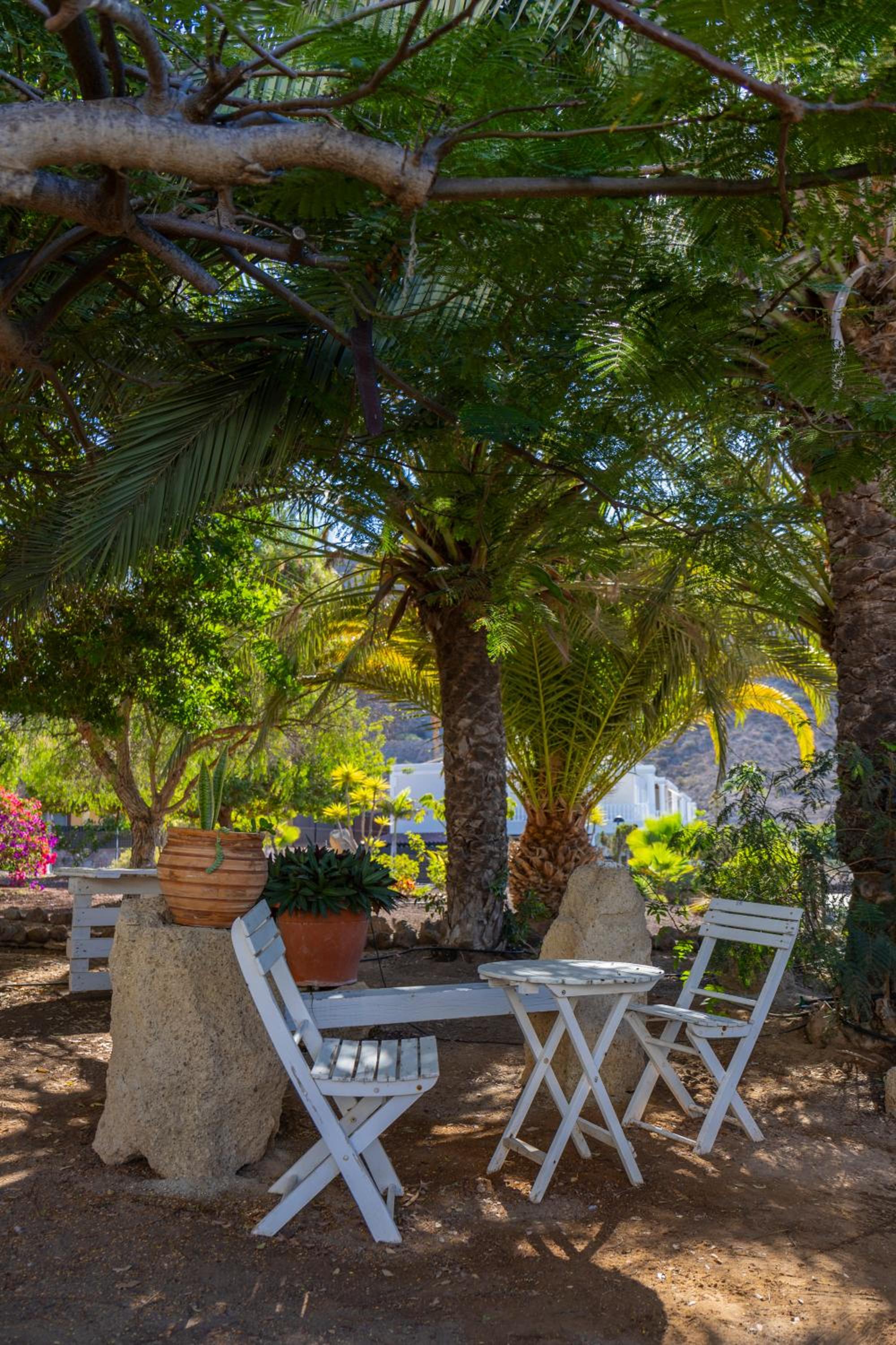Vista Eden - Los Cristianos, Ocean view, Grill, Pool