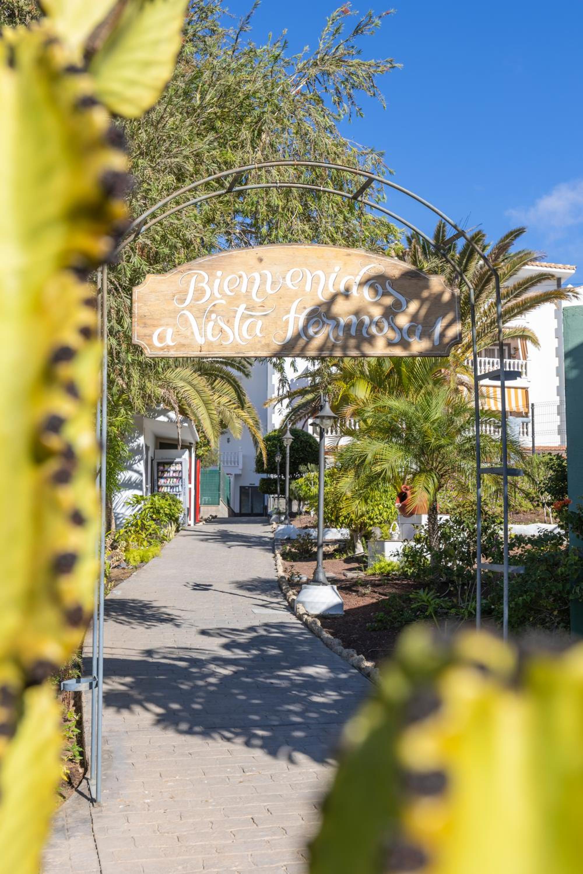 Vista Eden - Los Cristianos, Ocean view, Grill, Pool