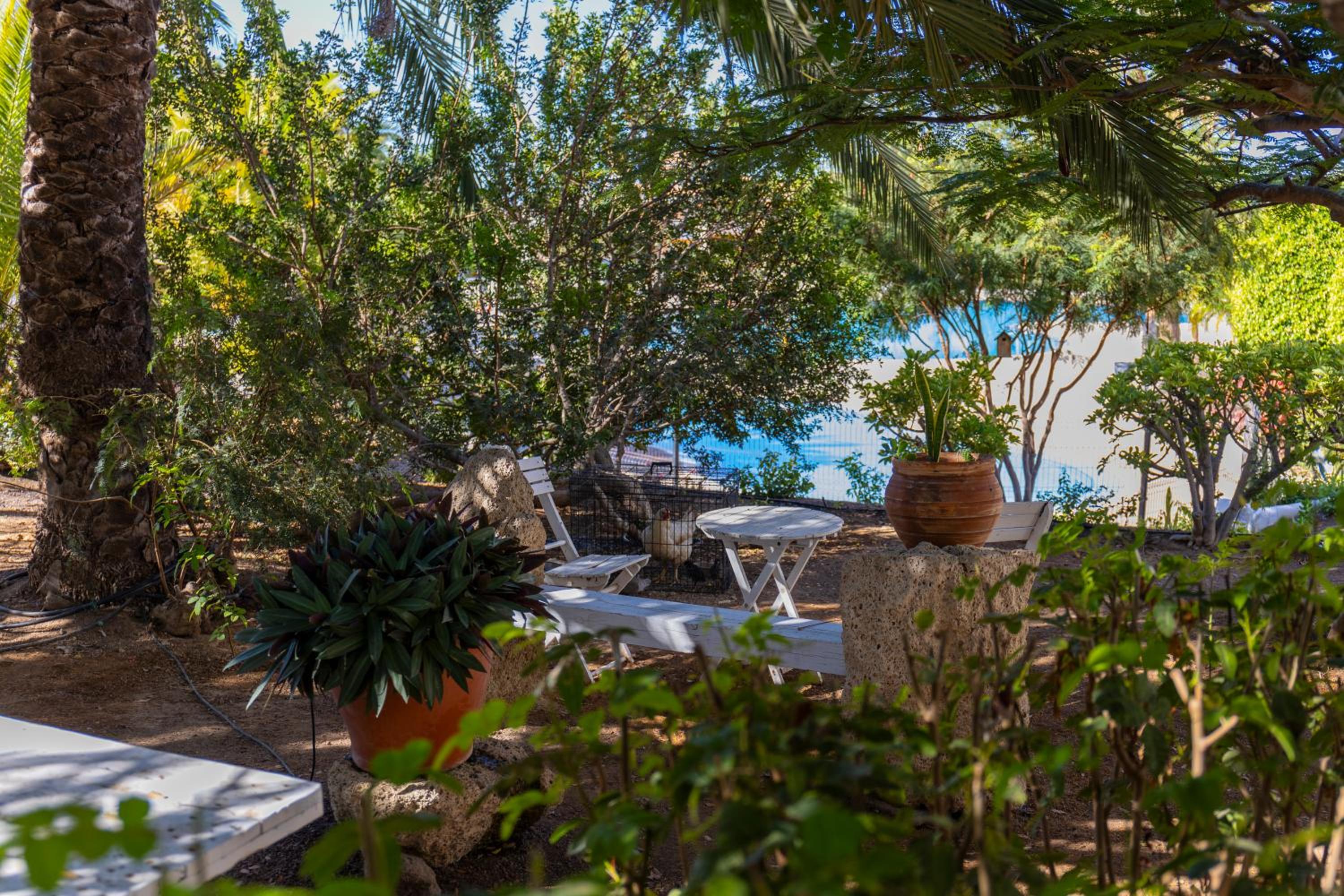 Vista Eden - Los Cristianos, Ocean view, Grill, Pool