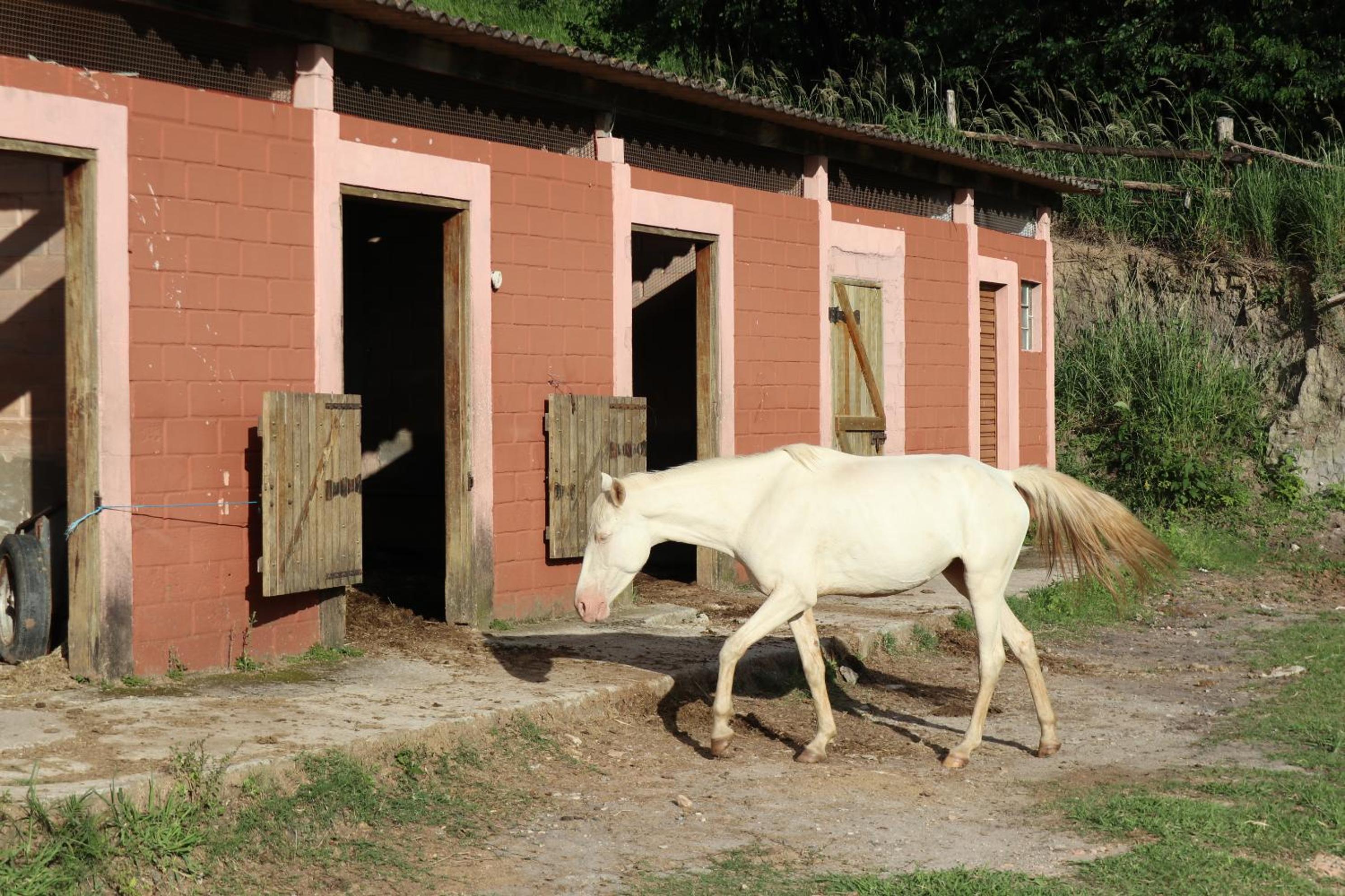 Big Valley Hotel Fazenda