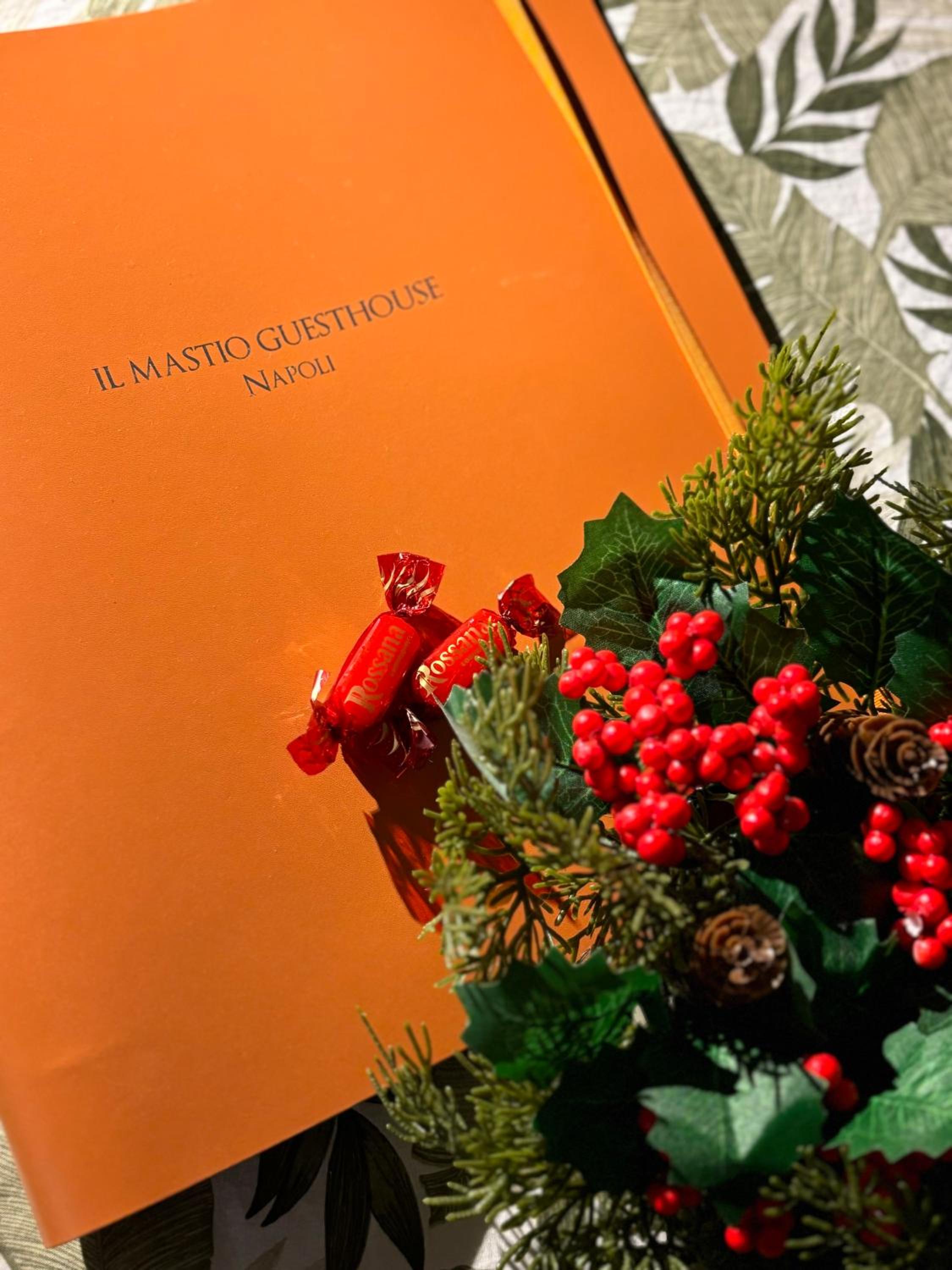 IL MASTIO Guesthouse