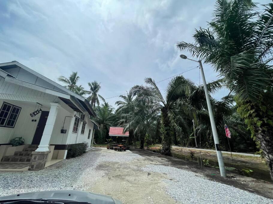 Anggerik Homestay suasana kampung photo 4