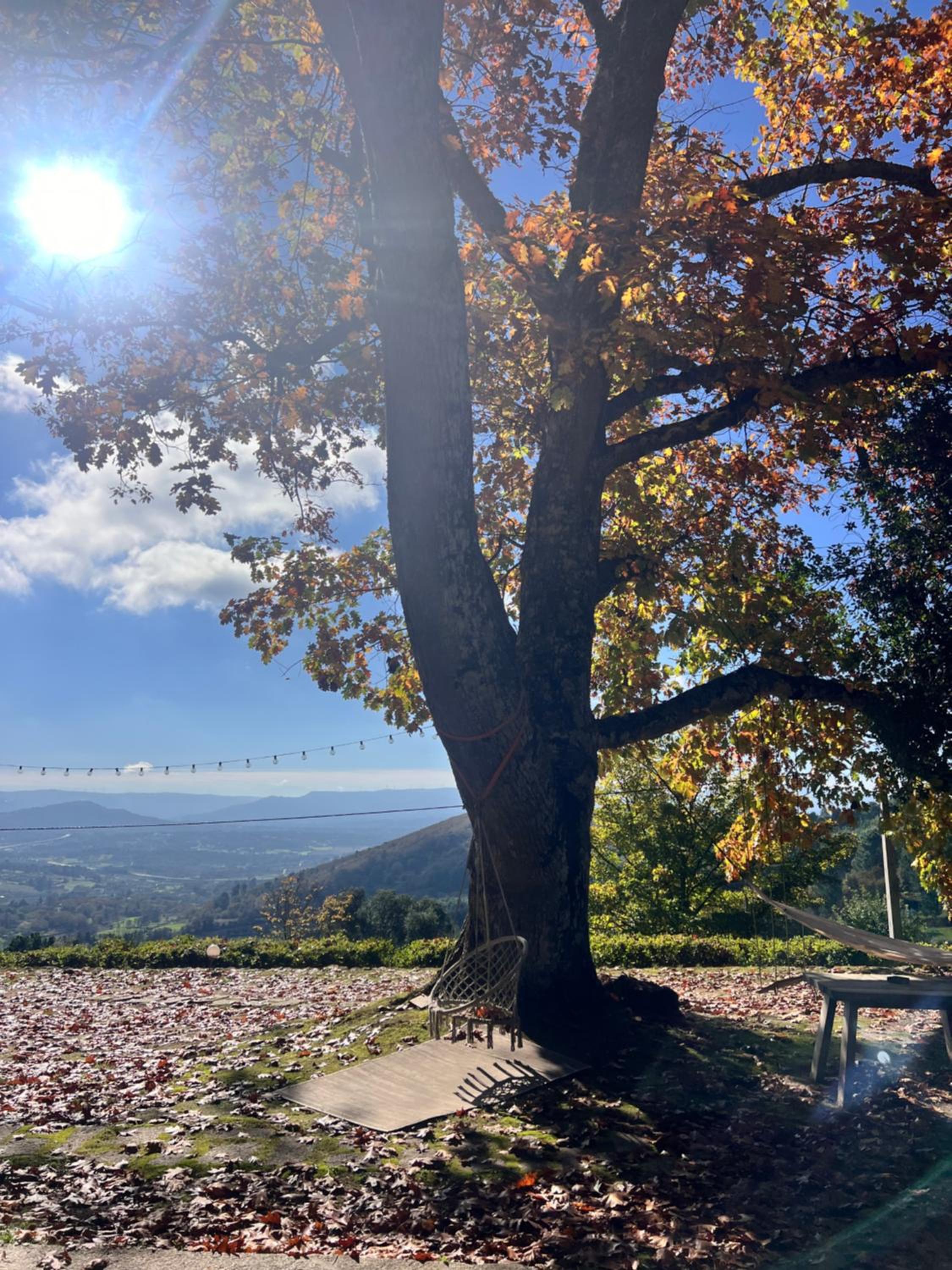 Quinta da Hortigueira - Country House view 3