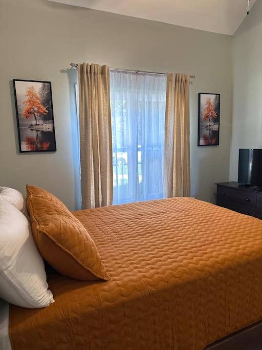 Cuckoos Nest - Property Image 14