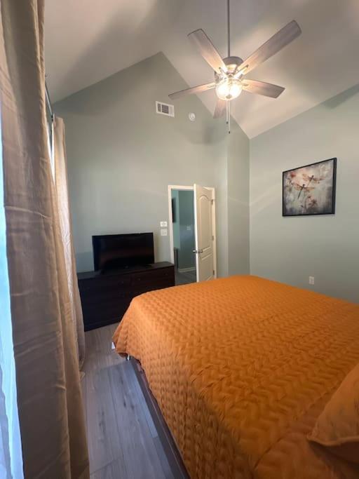 Cuckoos Nest - Property Image 9