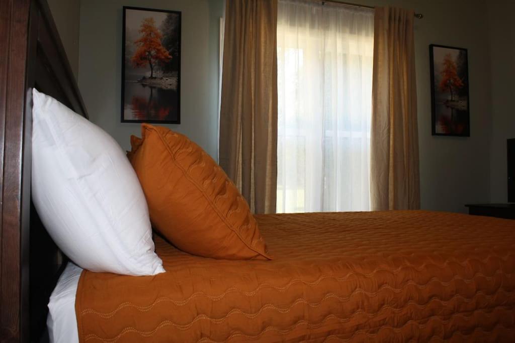 Cuckoos Nest - Property Image 6