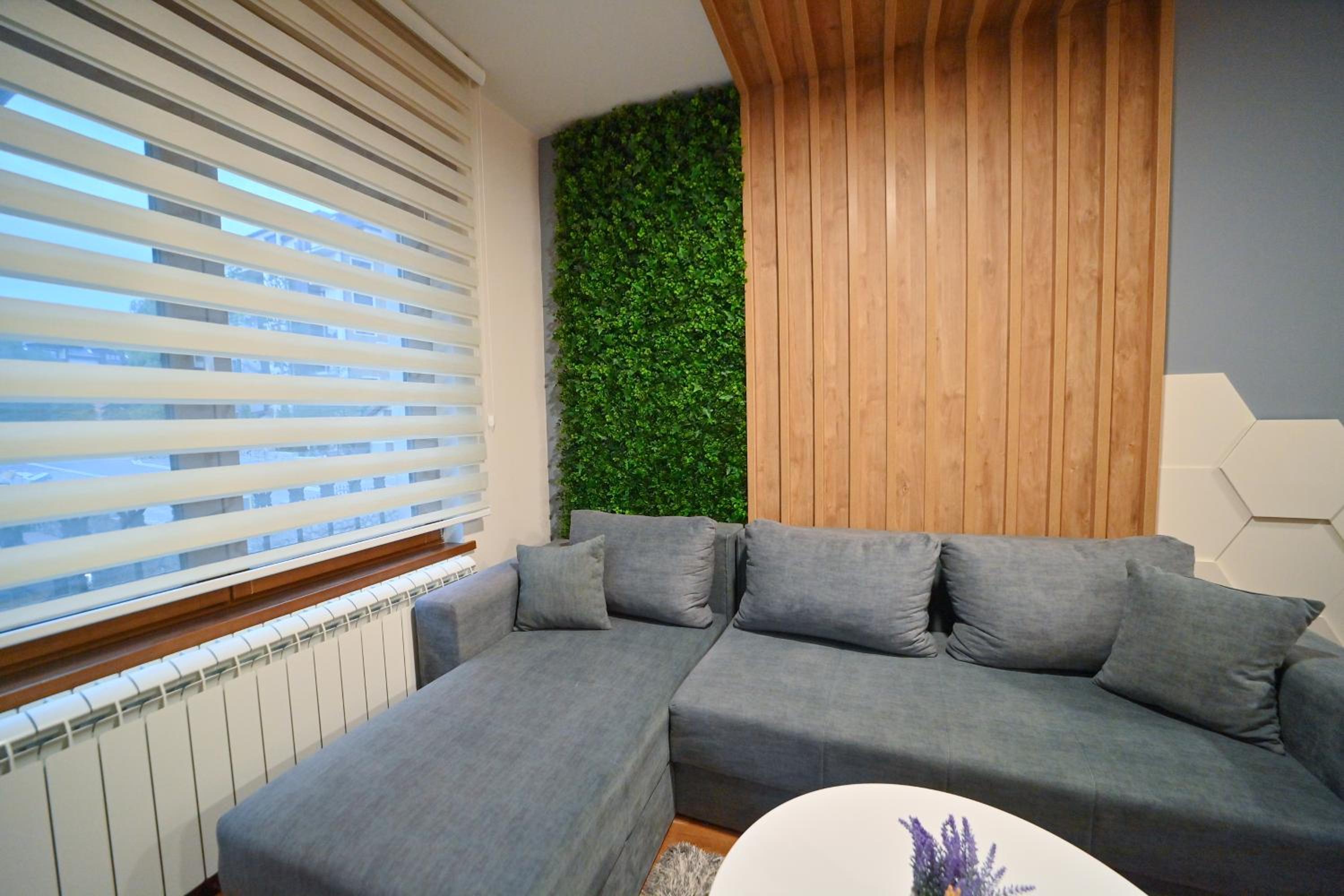 Apartman 20 Elza view 3