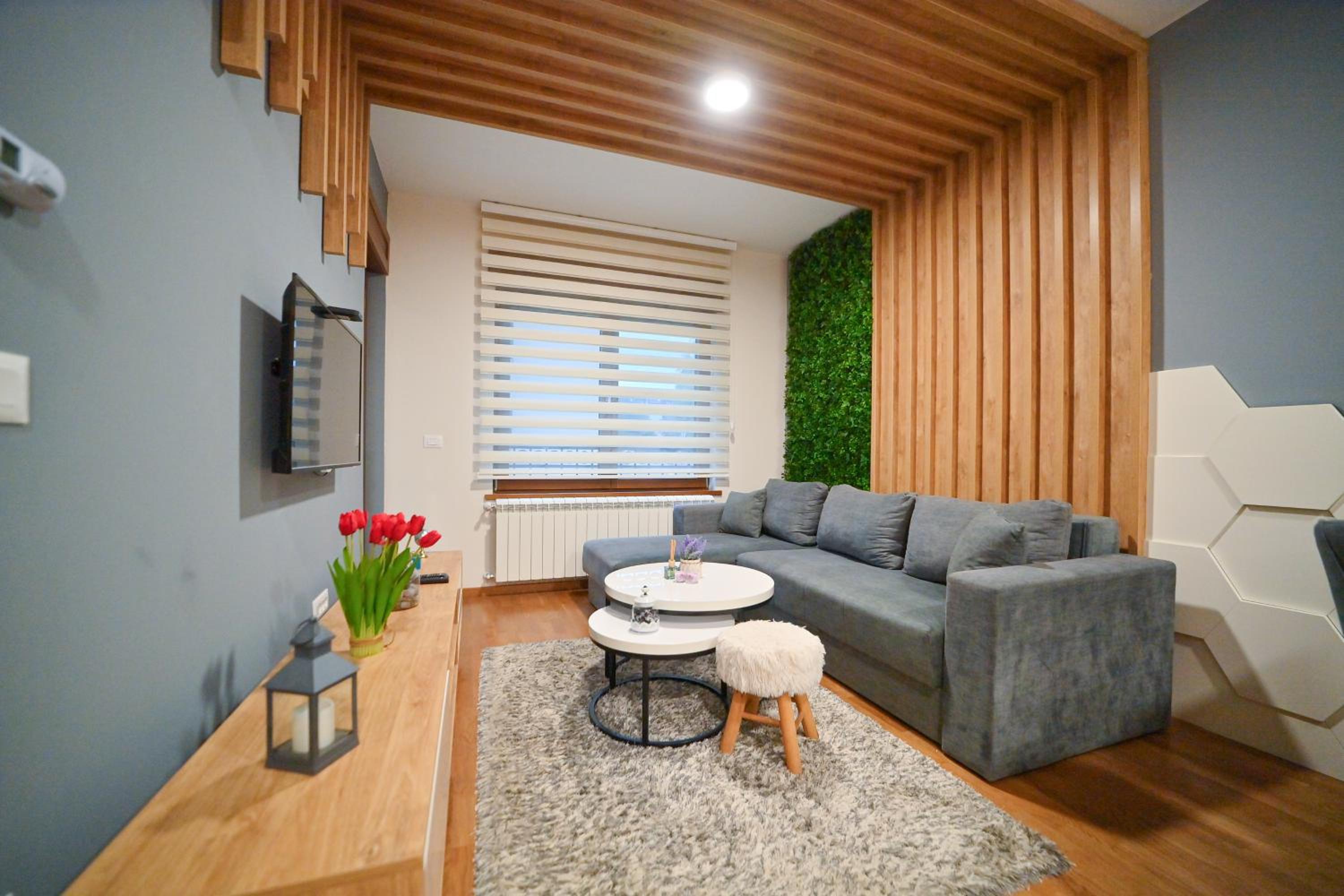 Apartman 20 Elza view 5