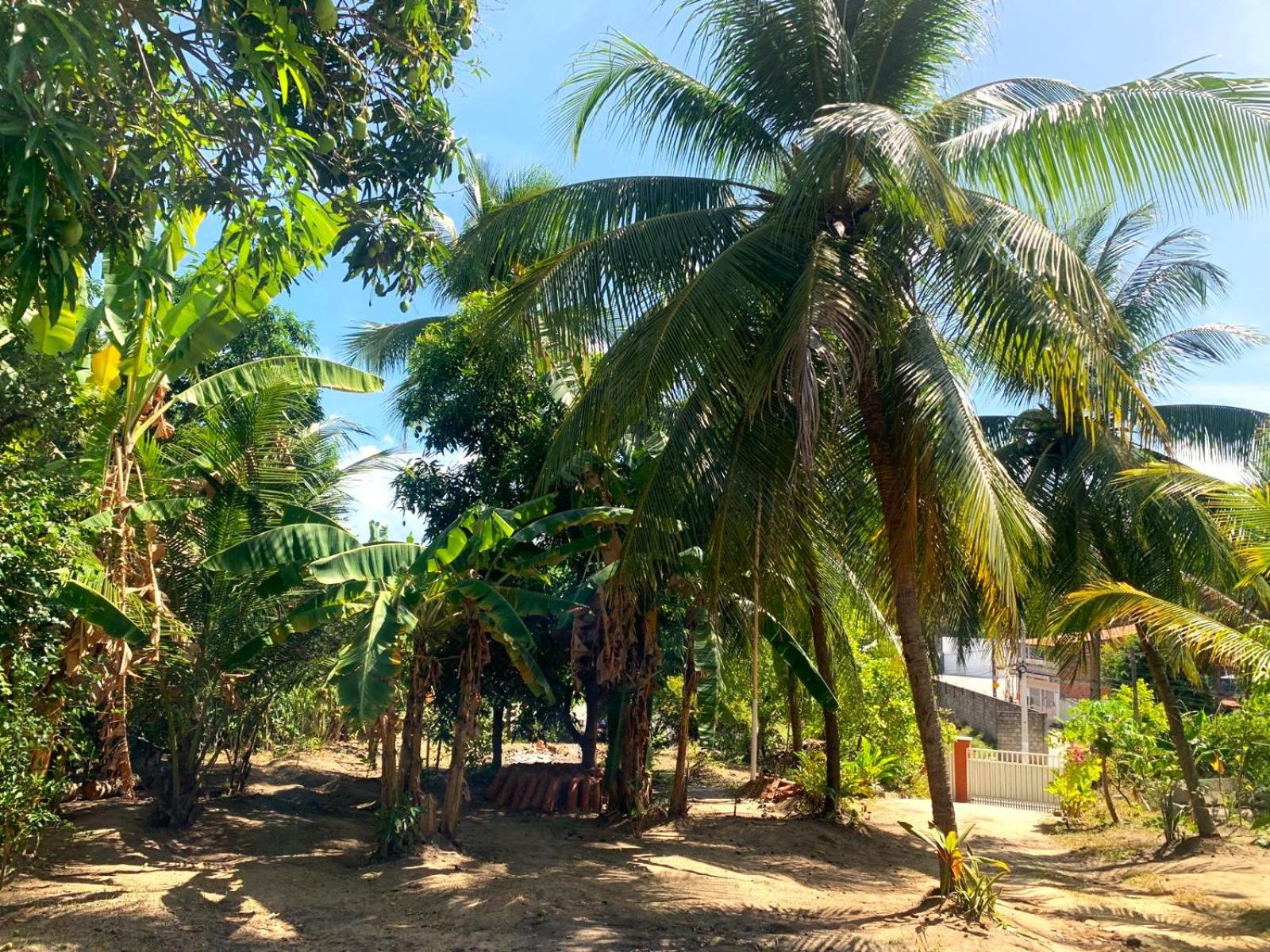 Jacarecica Haus