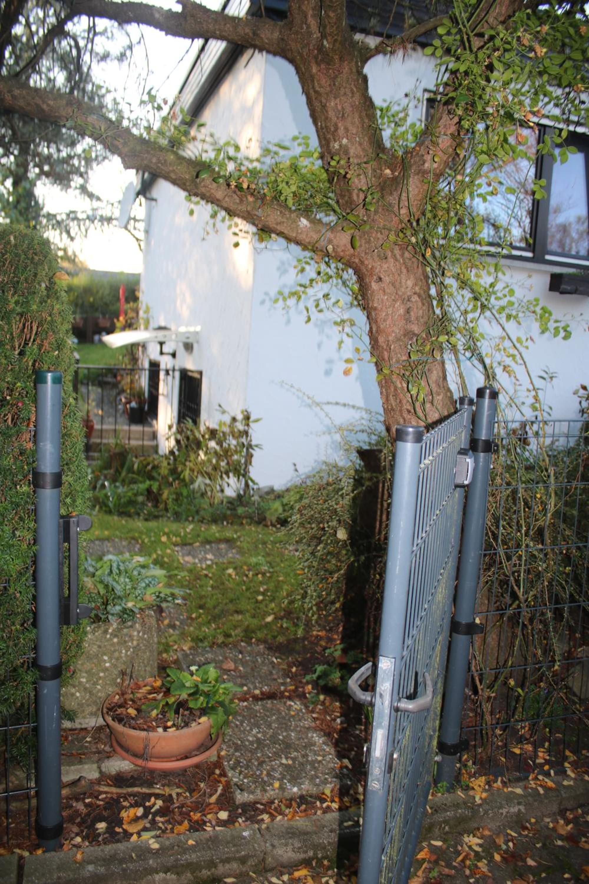 Photo 46
