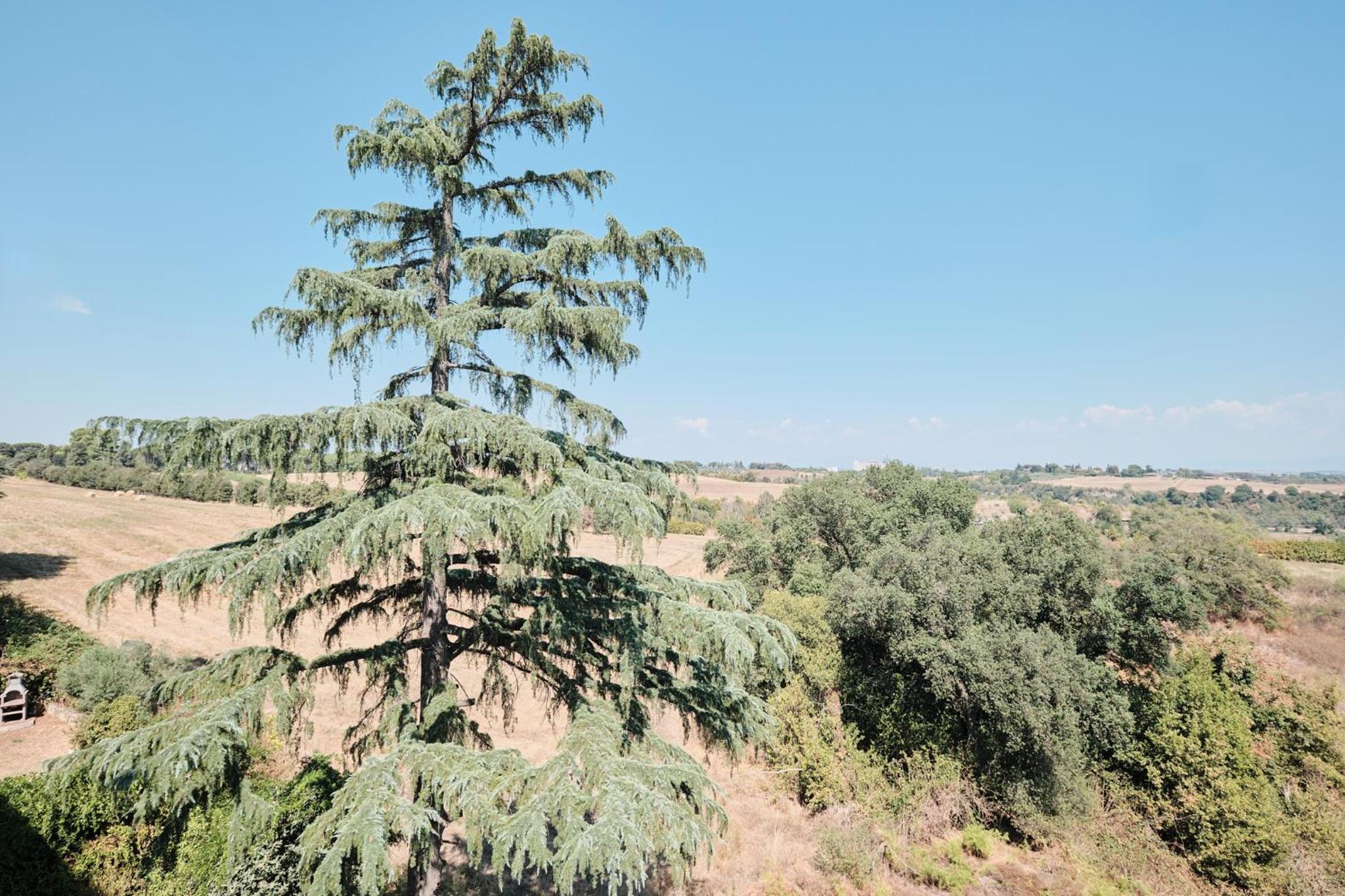 Due camere con vista a Roma - Zona Cassia